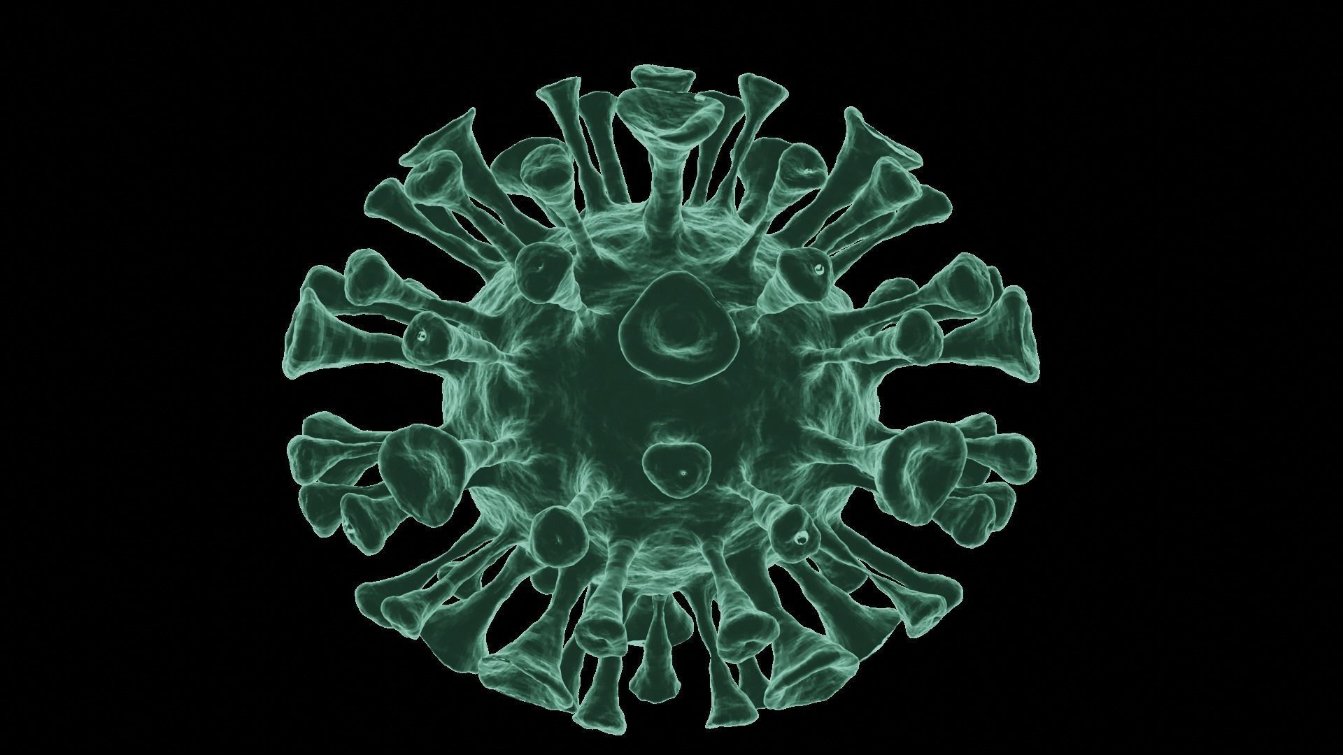 Corona Virus 3d Model 3D model_19