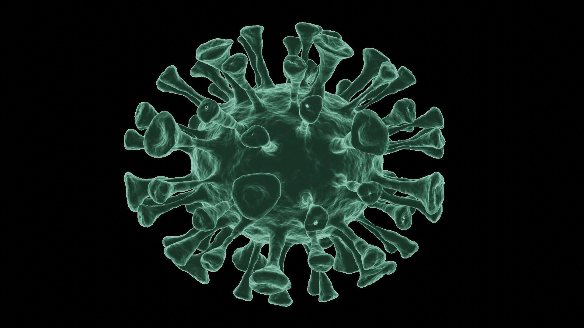 Corona Virus 3d Model 3D model_13