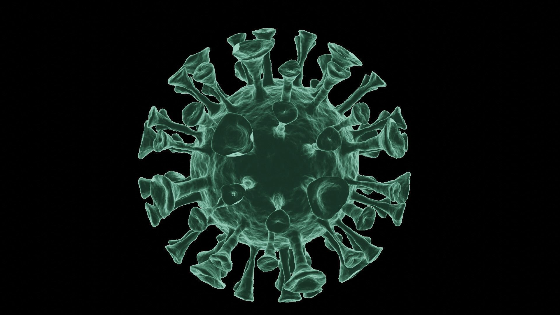 Corona Virus 3d Model 3D model_50