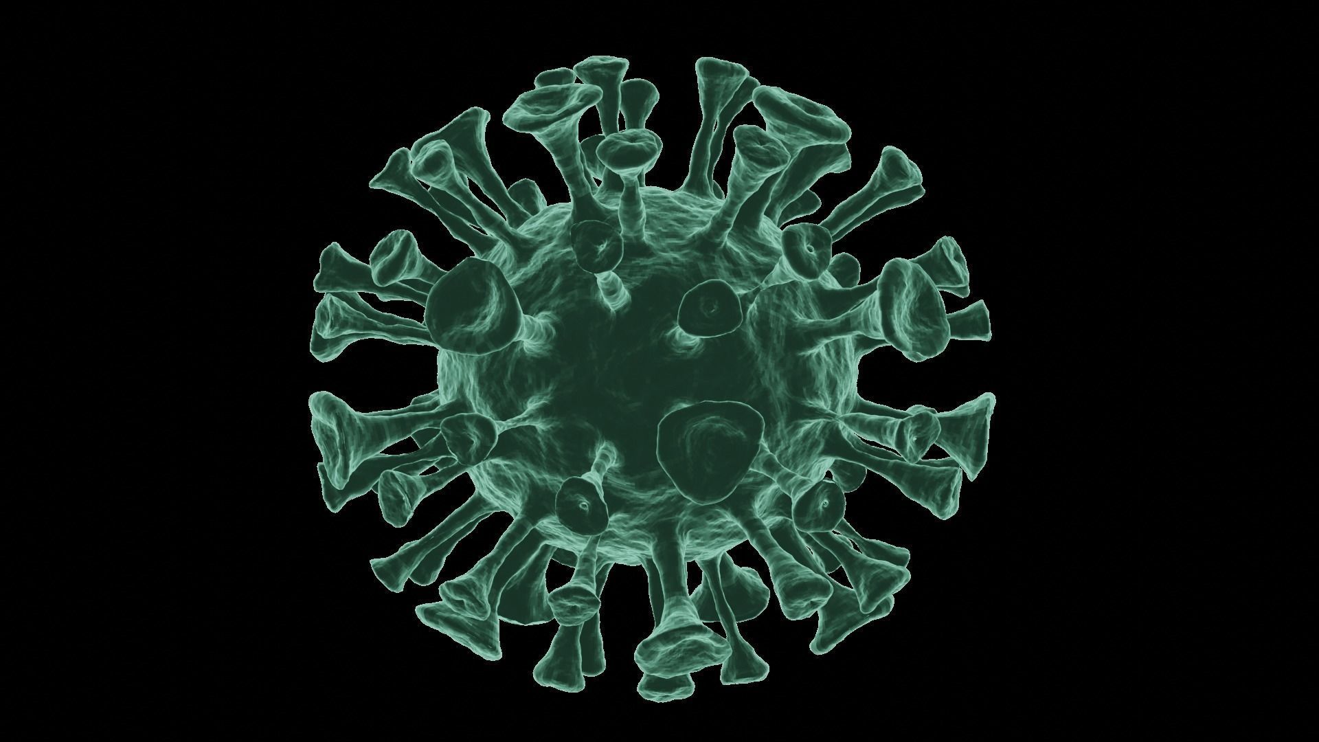 Corona Virus 3d Model 3D model_25