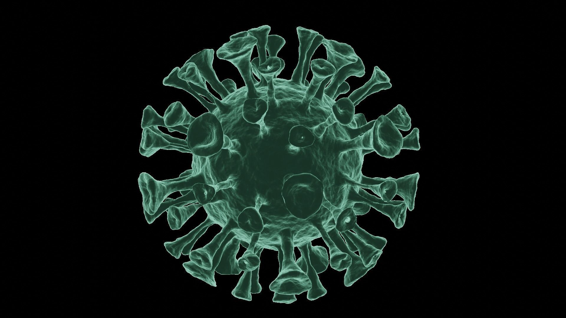 Corona Virus 3d Model 3D model_41