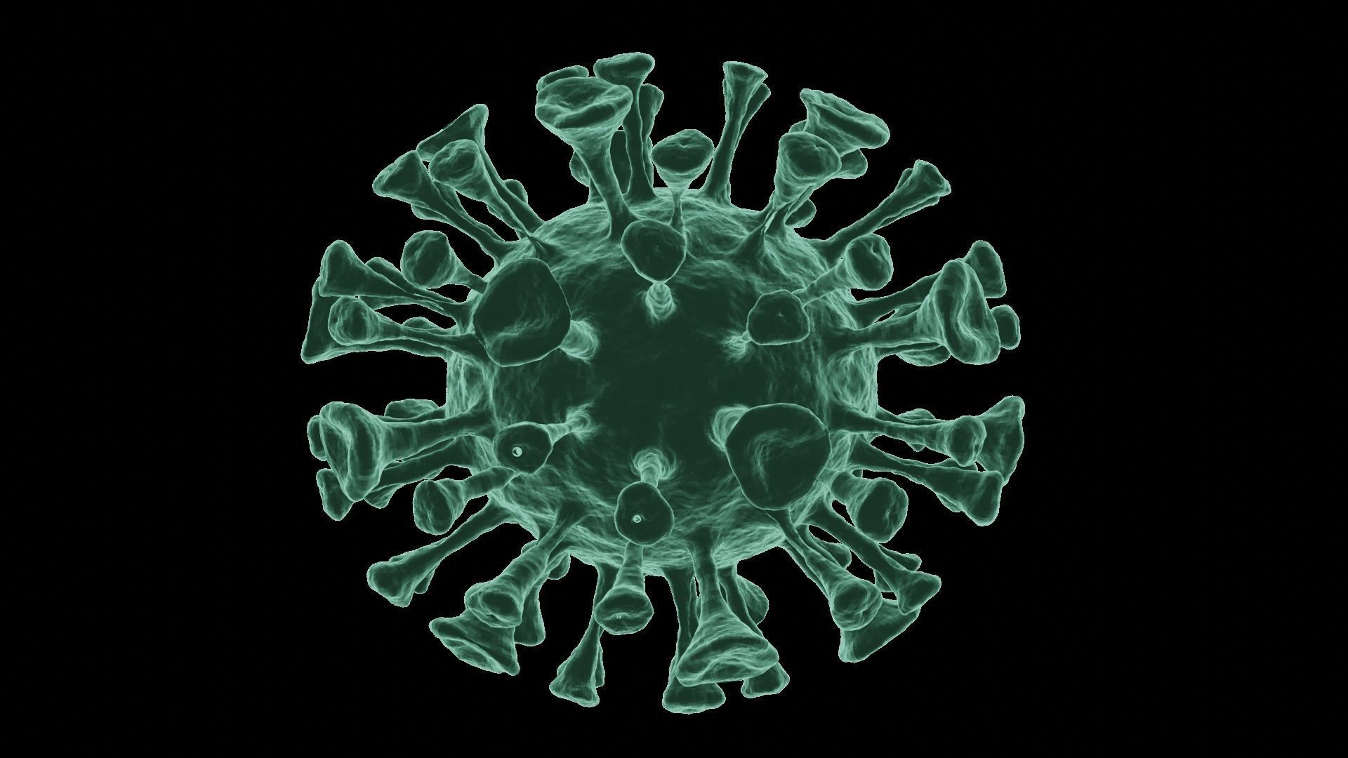 Corona Virus 3d Model 3D model_2