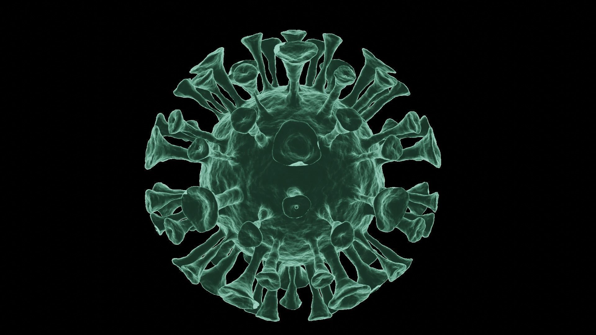Corona Virus 3d Model 3D model_57