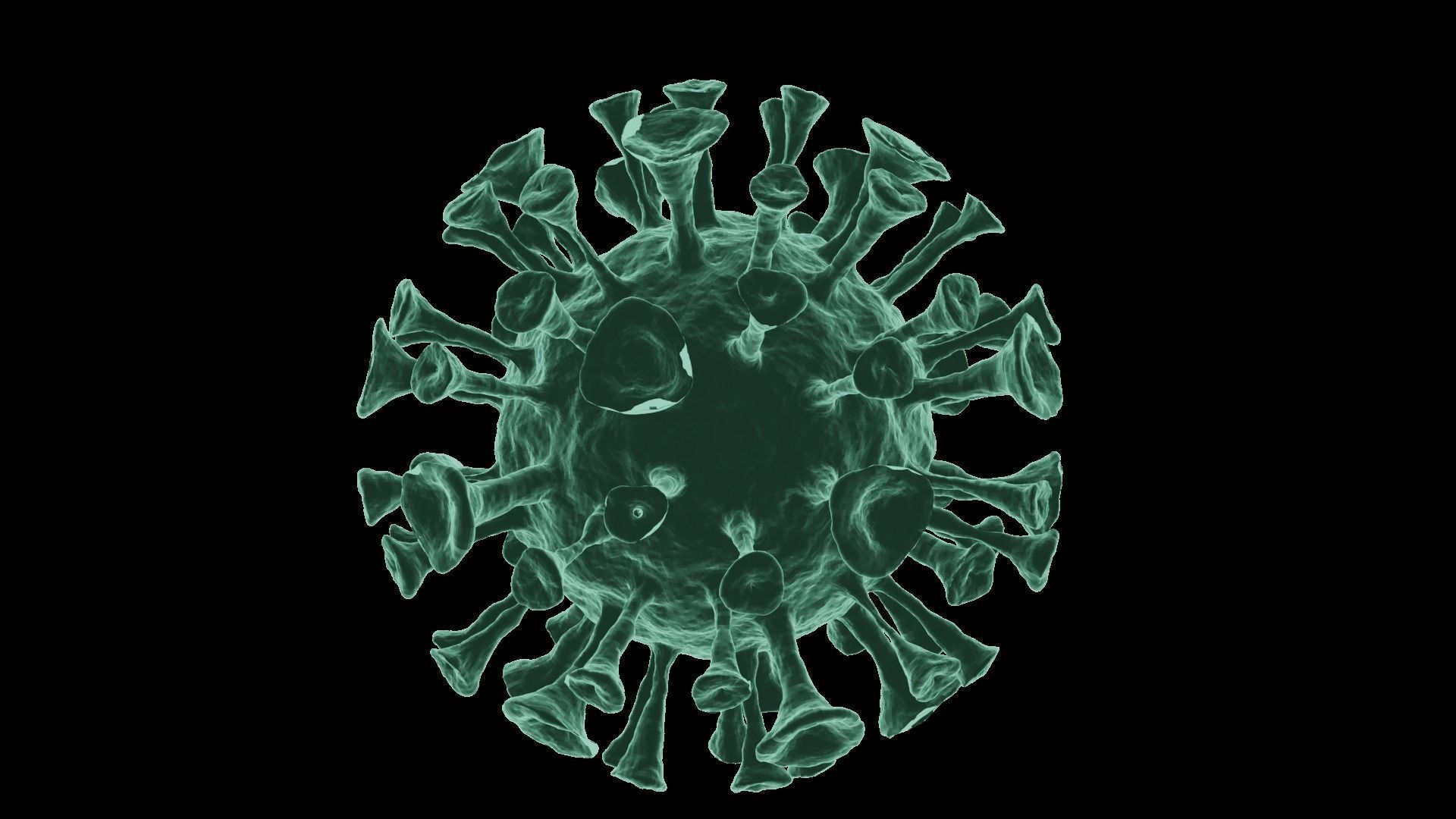 Corona Virus 3d Model 3D model_52