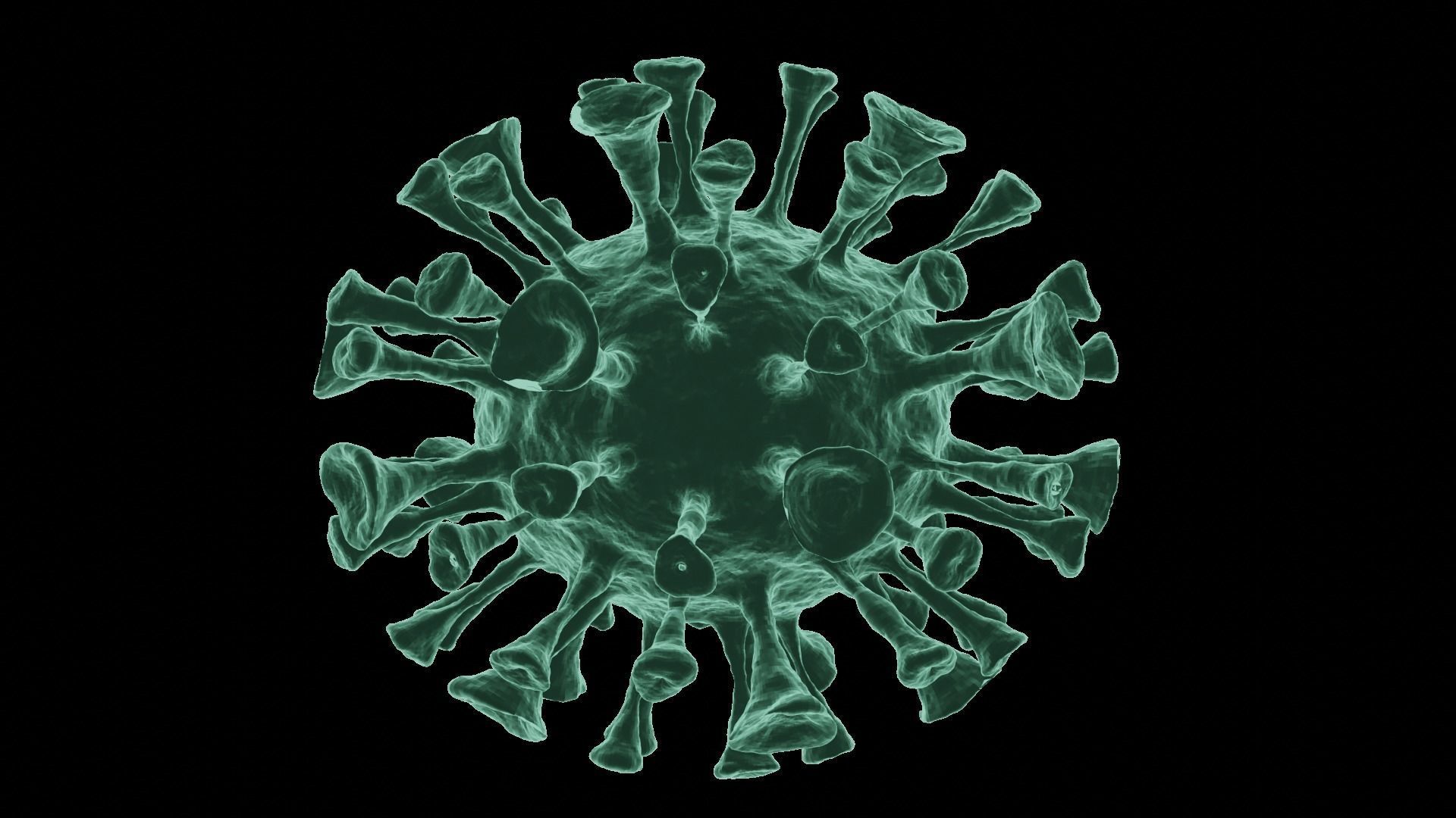 Corona Virus 3d Model 3D model_5