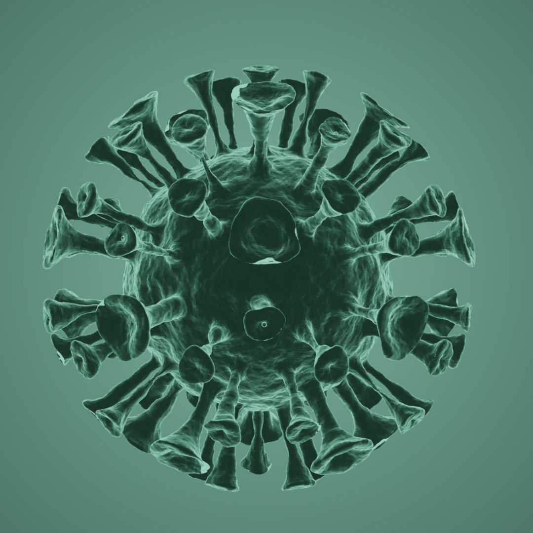 Corona Virus 3d Model 3D model_1