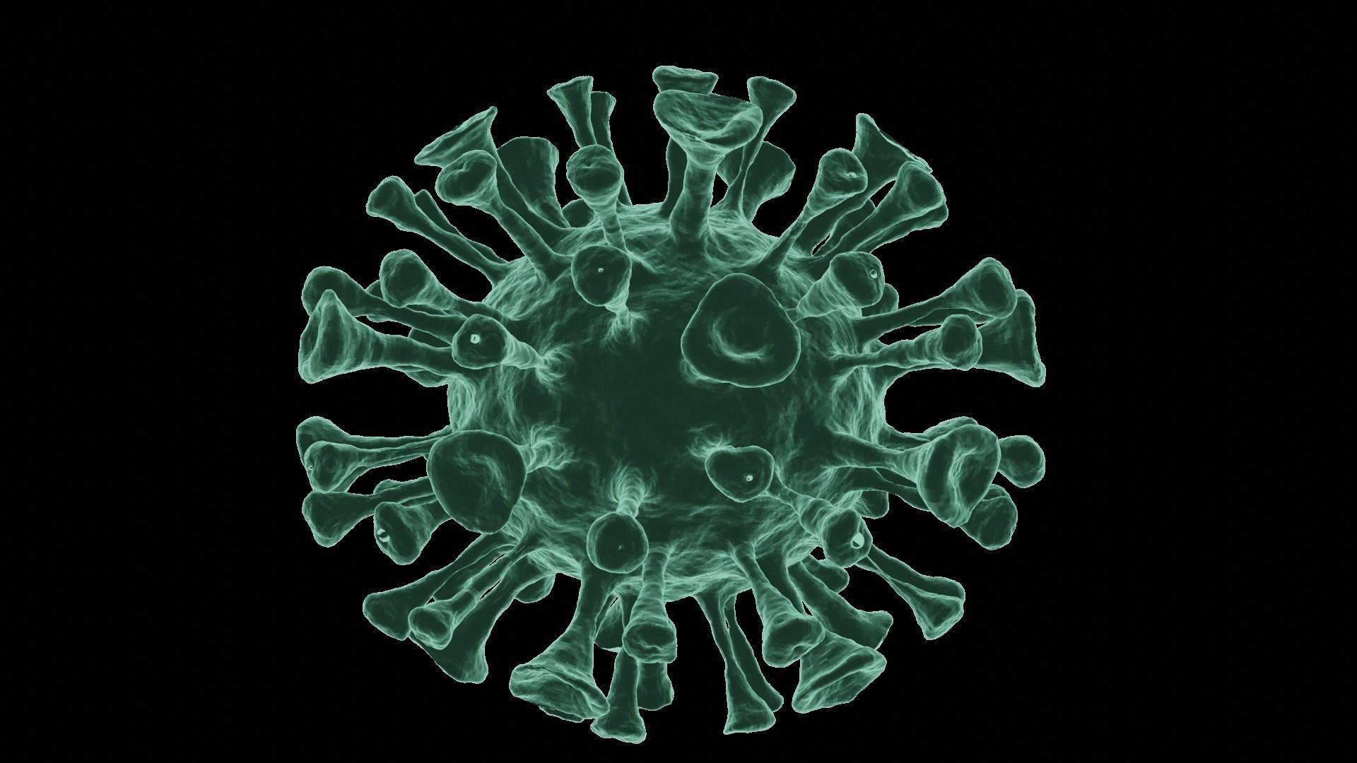 Corona Virus 3d Model 3D model_20