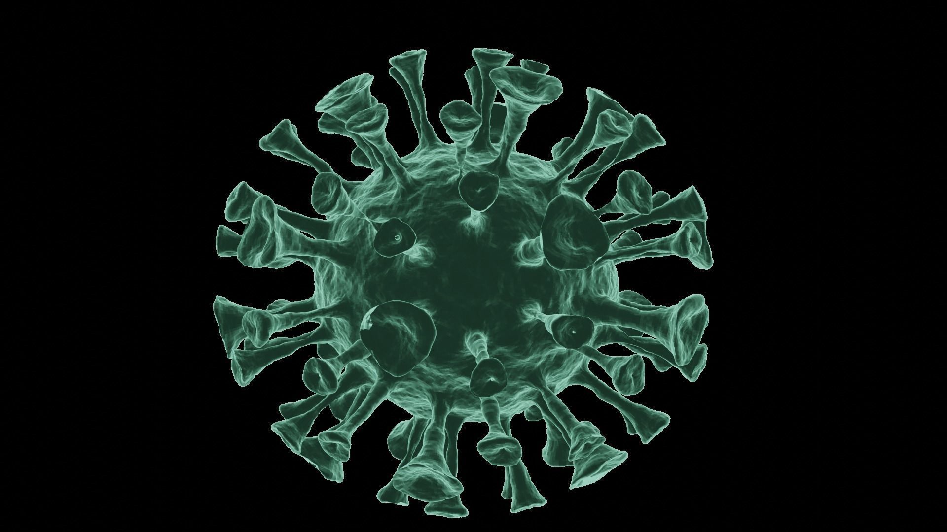 Corona Virus 3d Model 3D model_3
