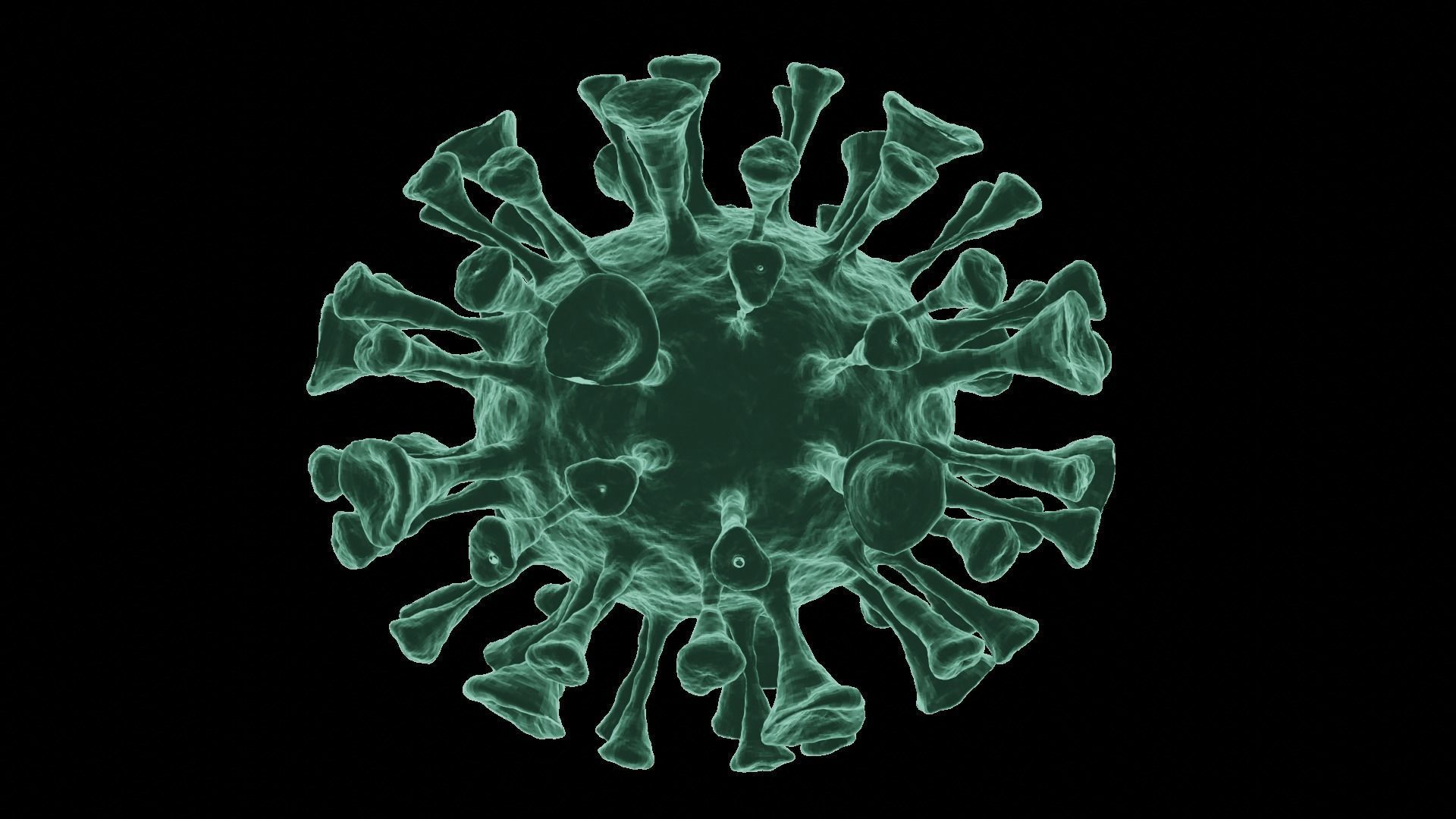 Corona Virus 3d Model 3D model_4