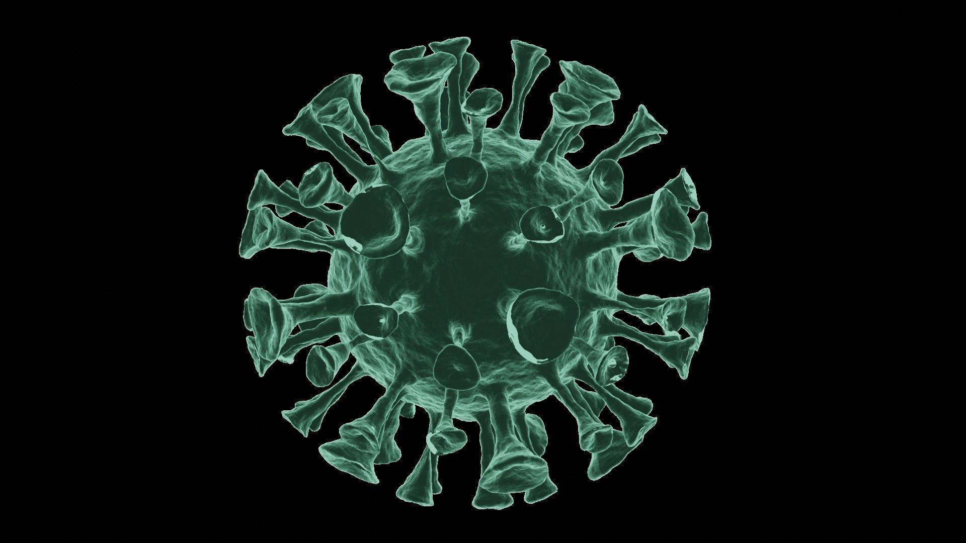 Corona Virus 3d Model 3D model_43