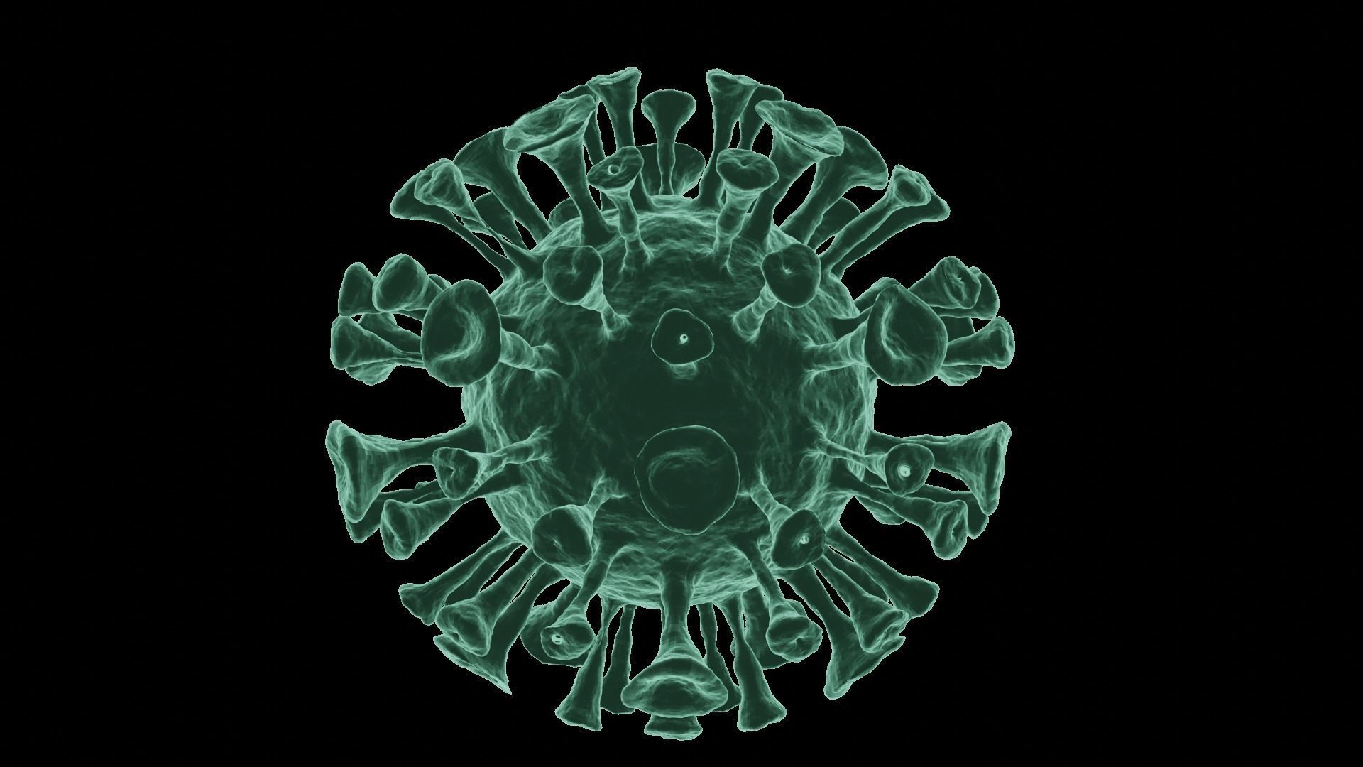 Corona Virus 3d Model 3D model_38