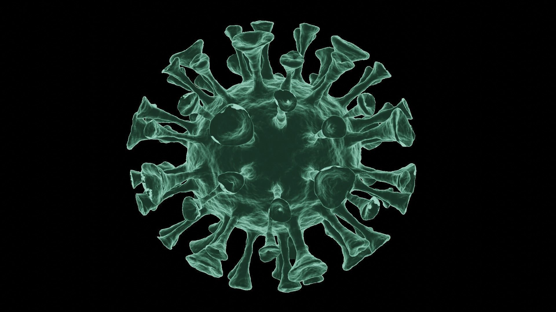 Corona Virus 3d Model 3D model_34
