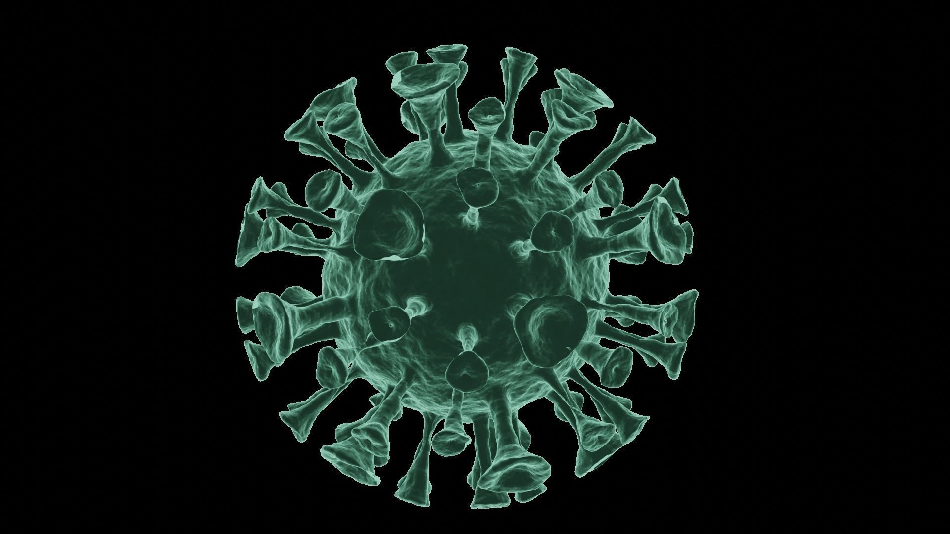 Corona Virus 3d Model 3D model_53