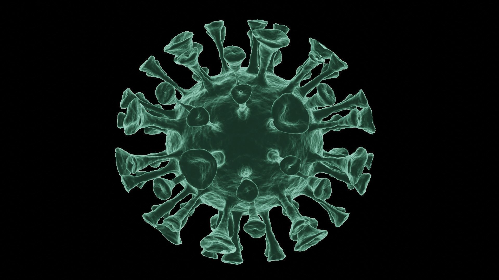 Corona Virus 3d Model 3D model_61