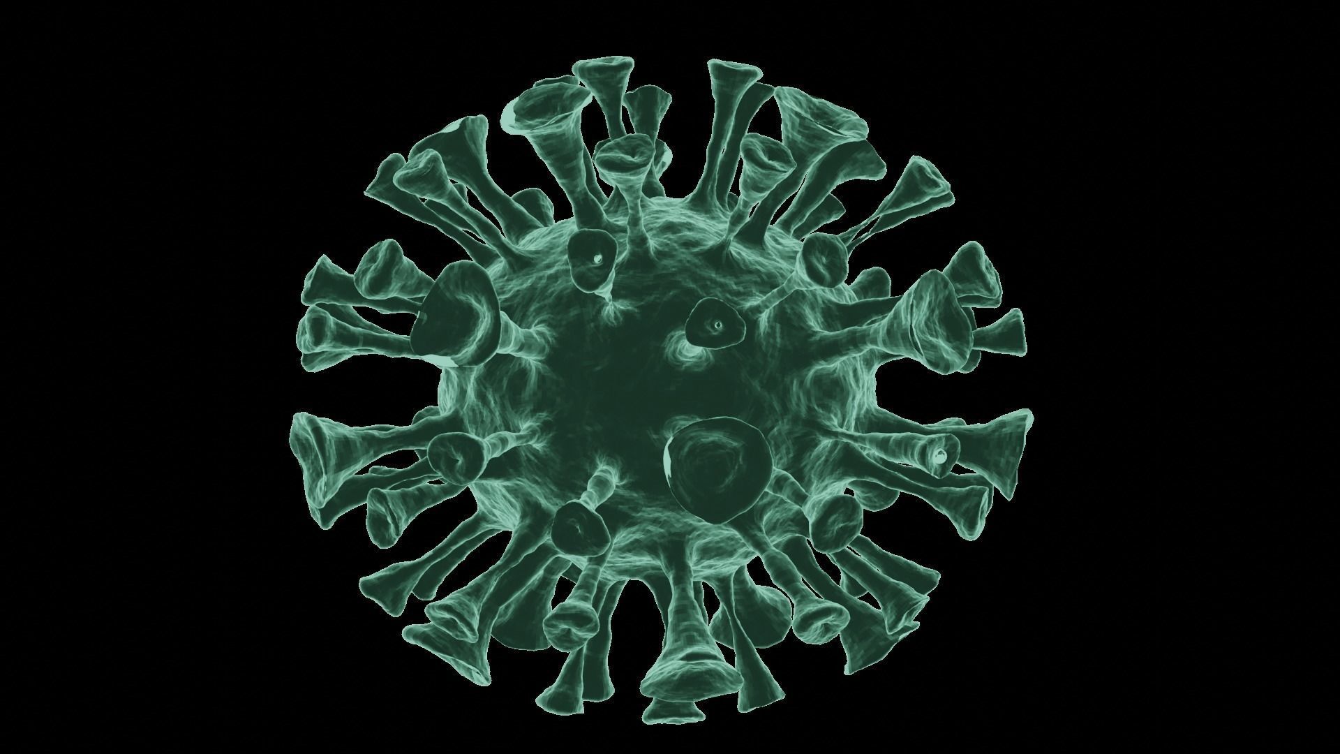 Corona Virus 3d Model 3D model_9