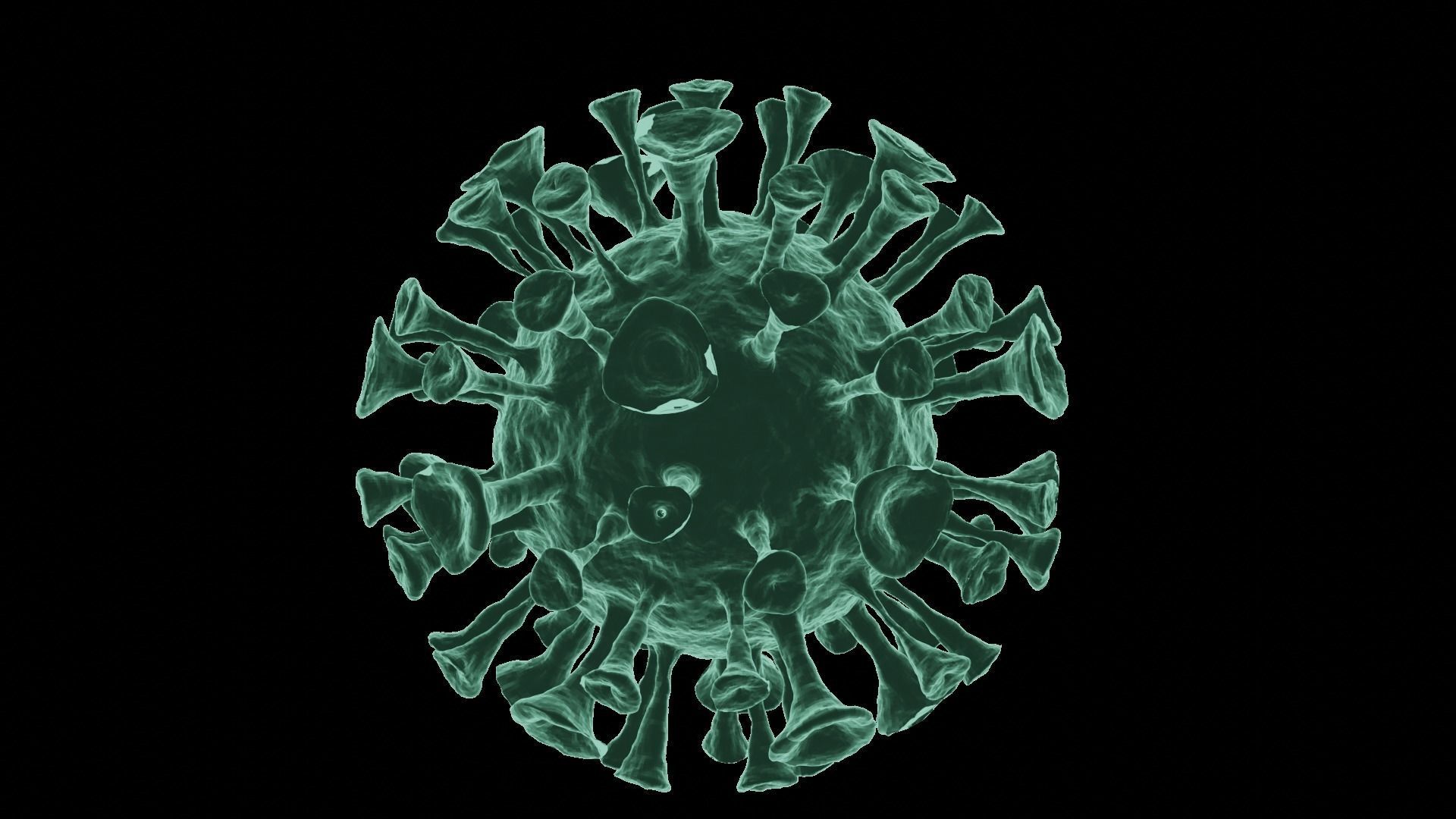Corona Virus 3d Model 3D model_56