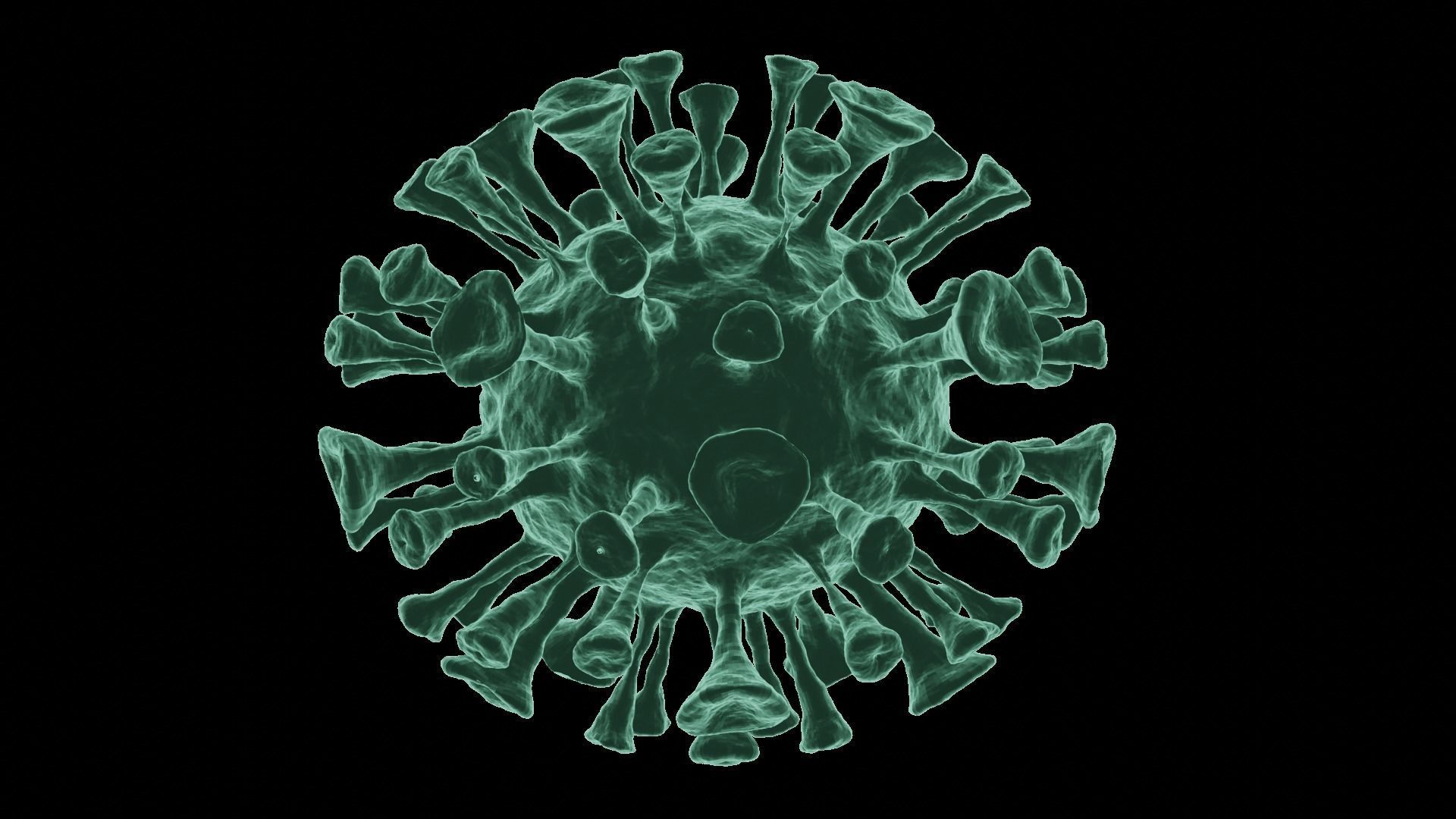 Corona Virus 3d Model 3D model_66