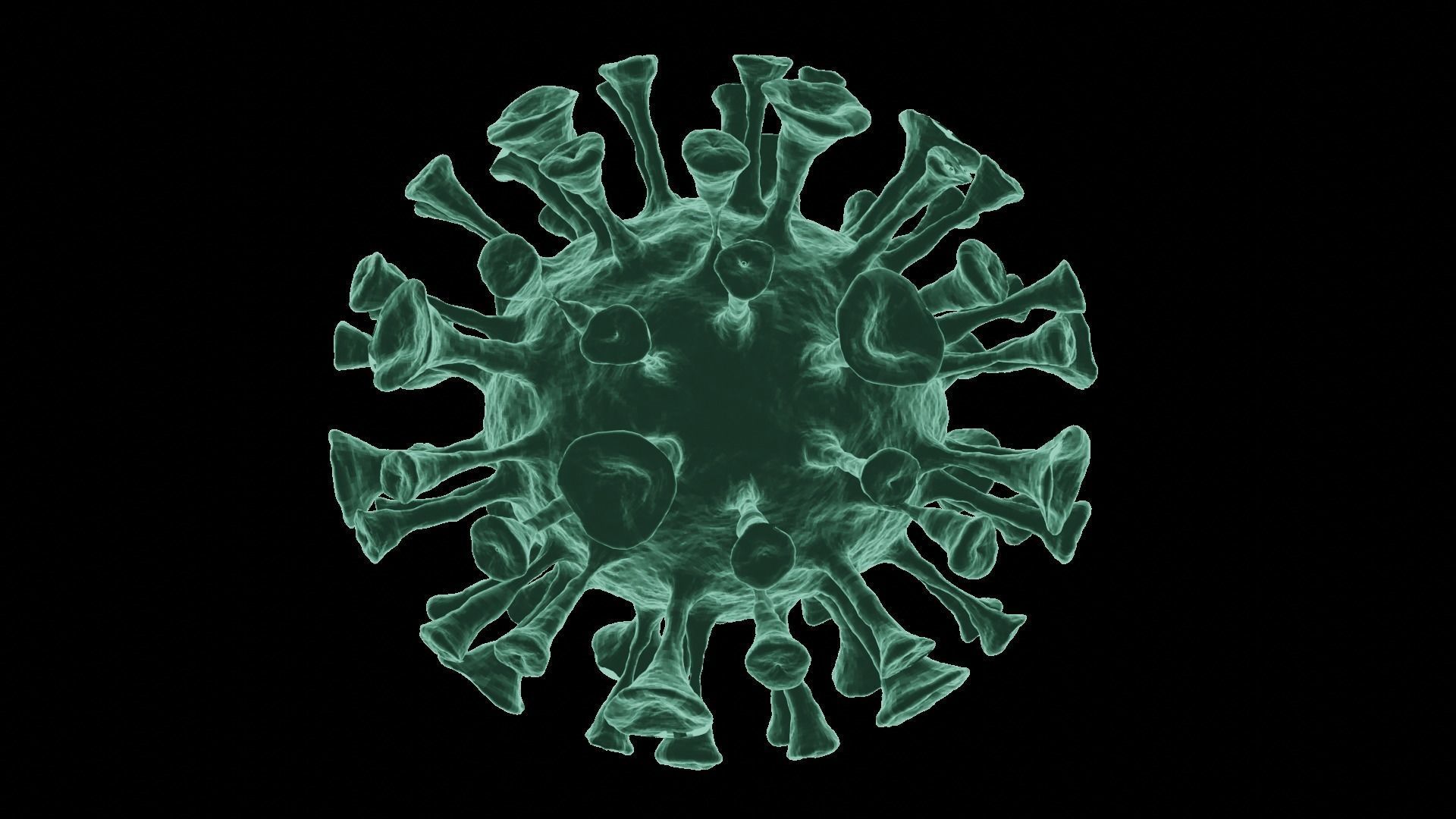 Corona Virus 3d Model 3D model_63