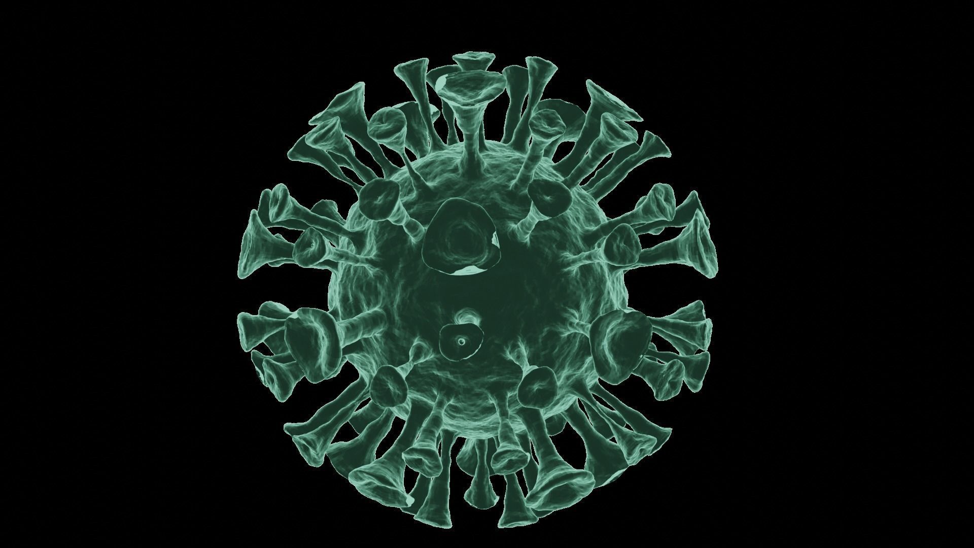 Corona Virus 3d Model 3D model_58