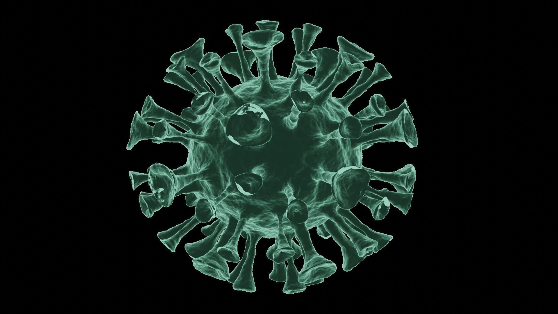 Corona Virus 3d Model 3D model_26