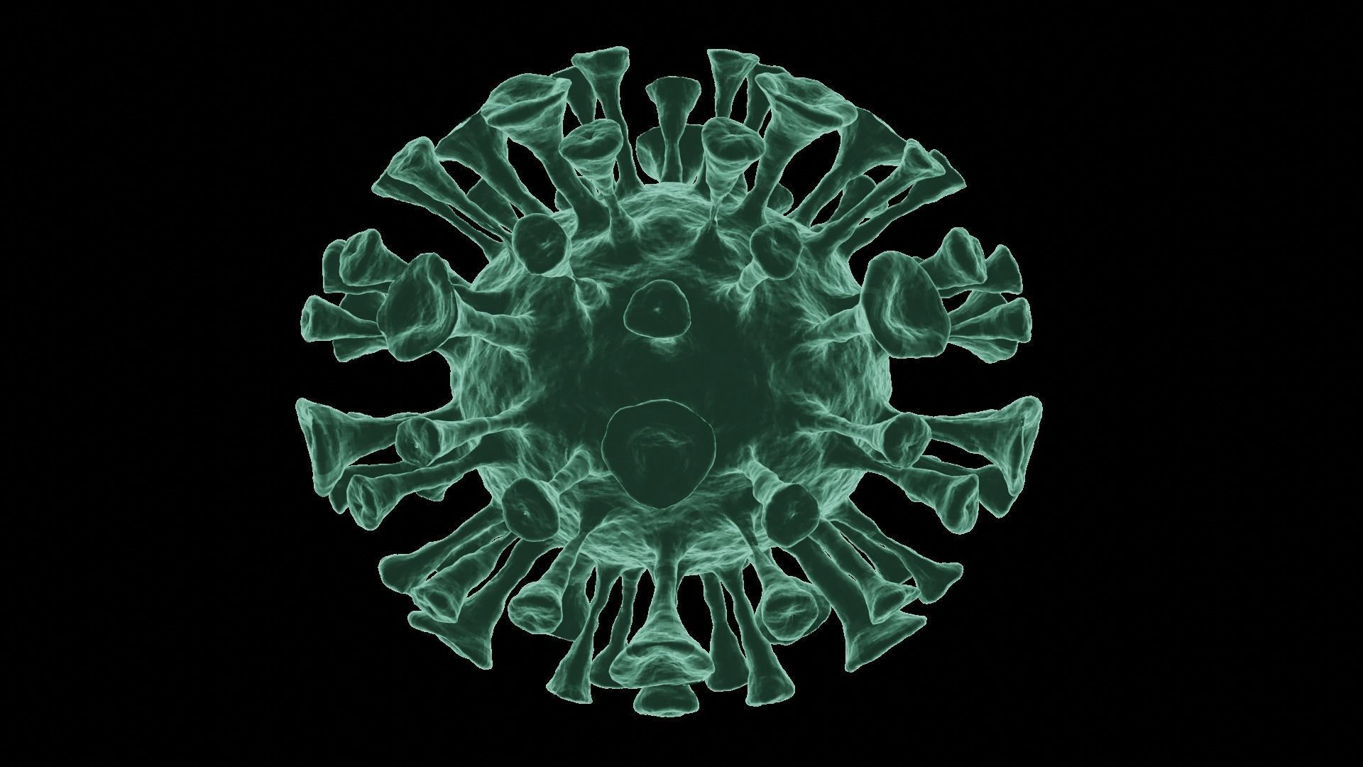 Corona Virus 3d Model 3D model_64