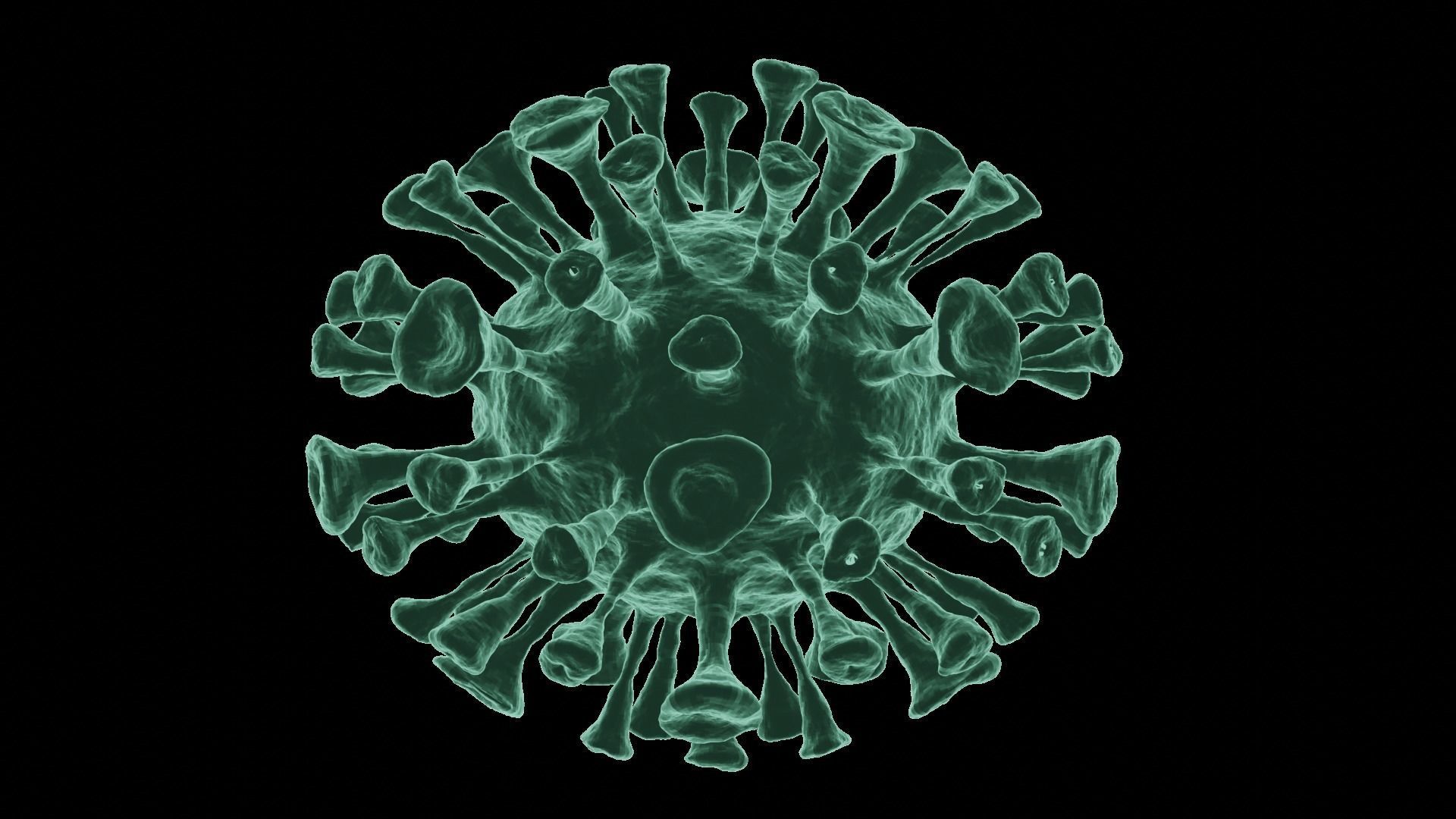 Corona Virus 3d Model 3D model_14