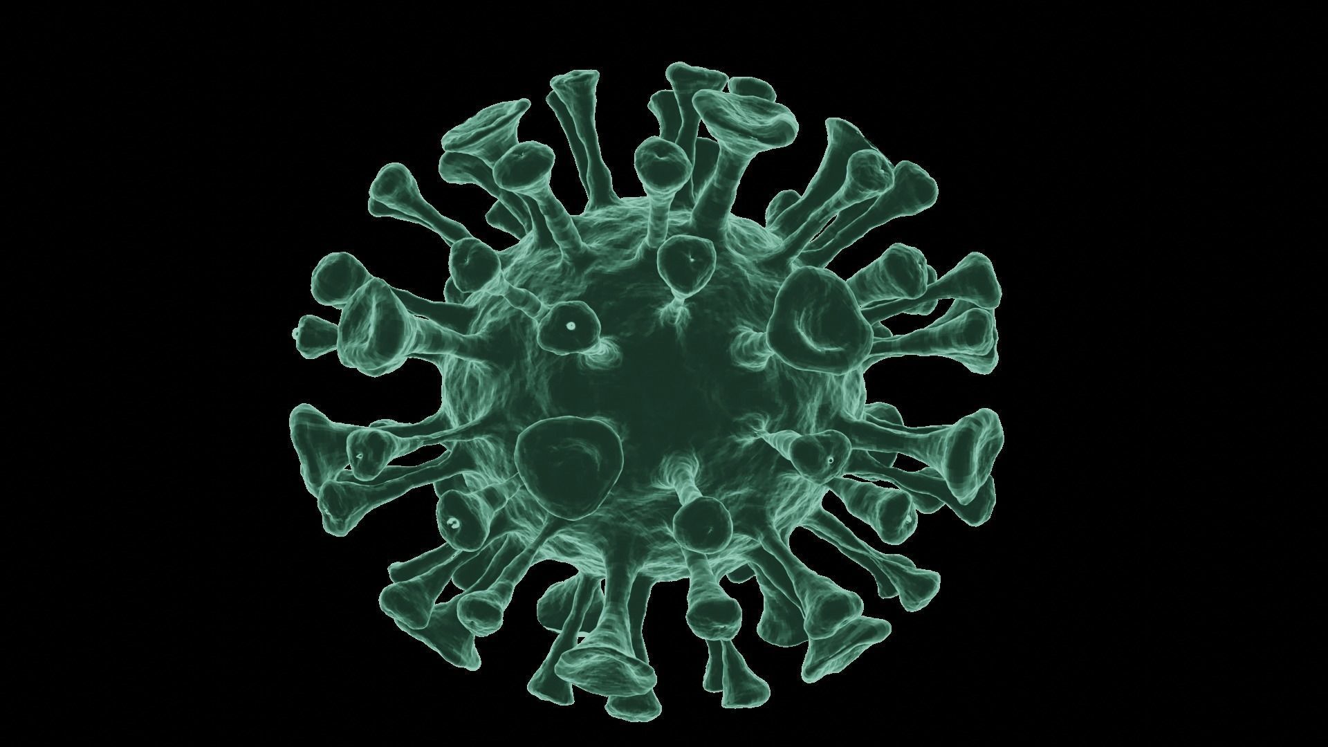 Corona Virus 3d Model 3D model_21