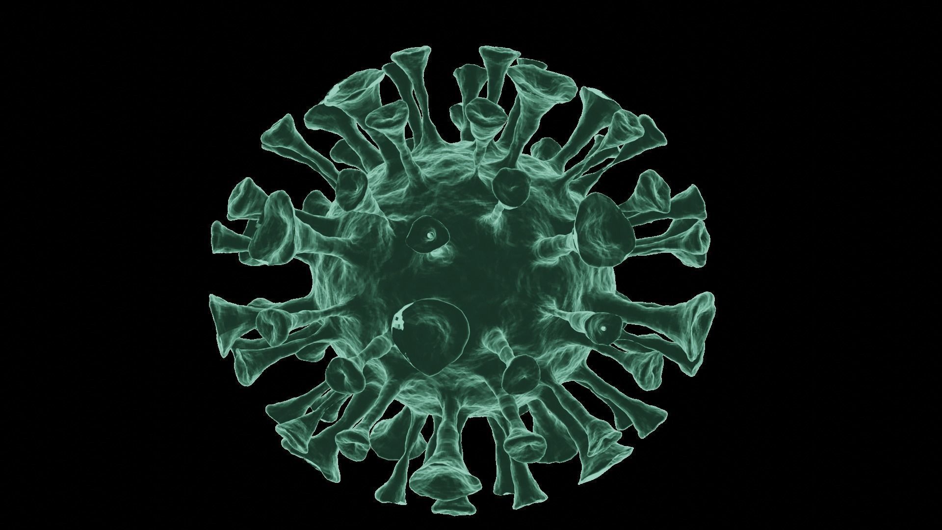 Corona Virus 3d Model 3D model_6