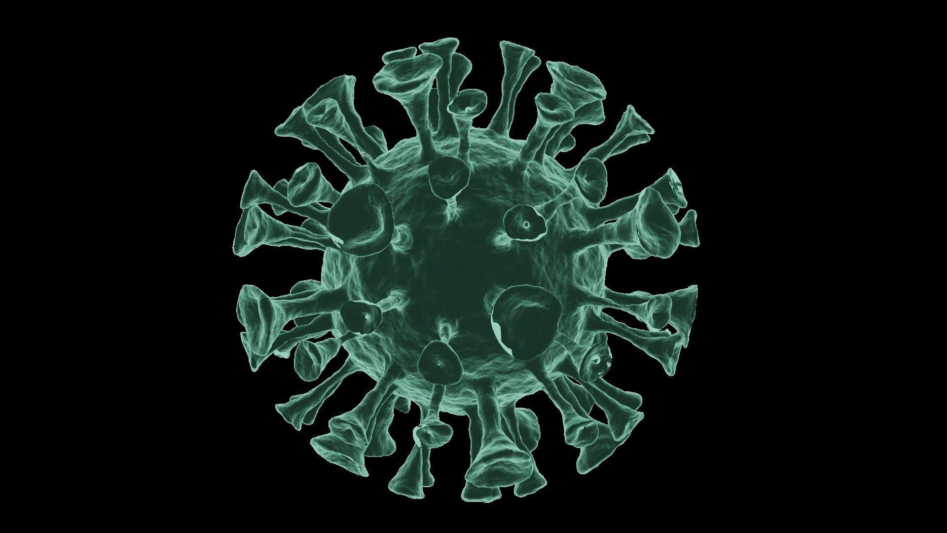 Corona Virus 3d Model 3D model_42