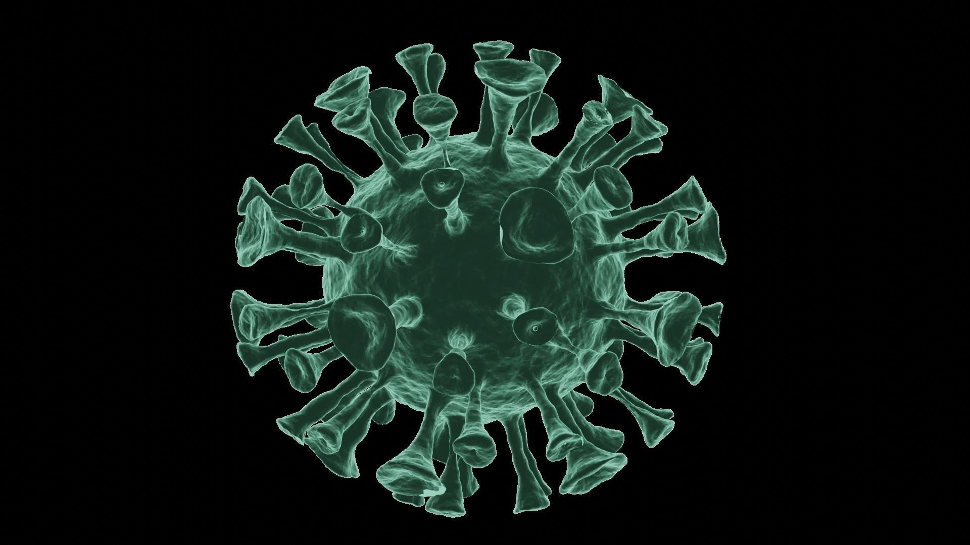 Corona Virus 3d Model 3D model_60