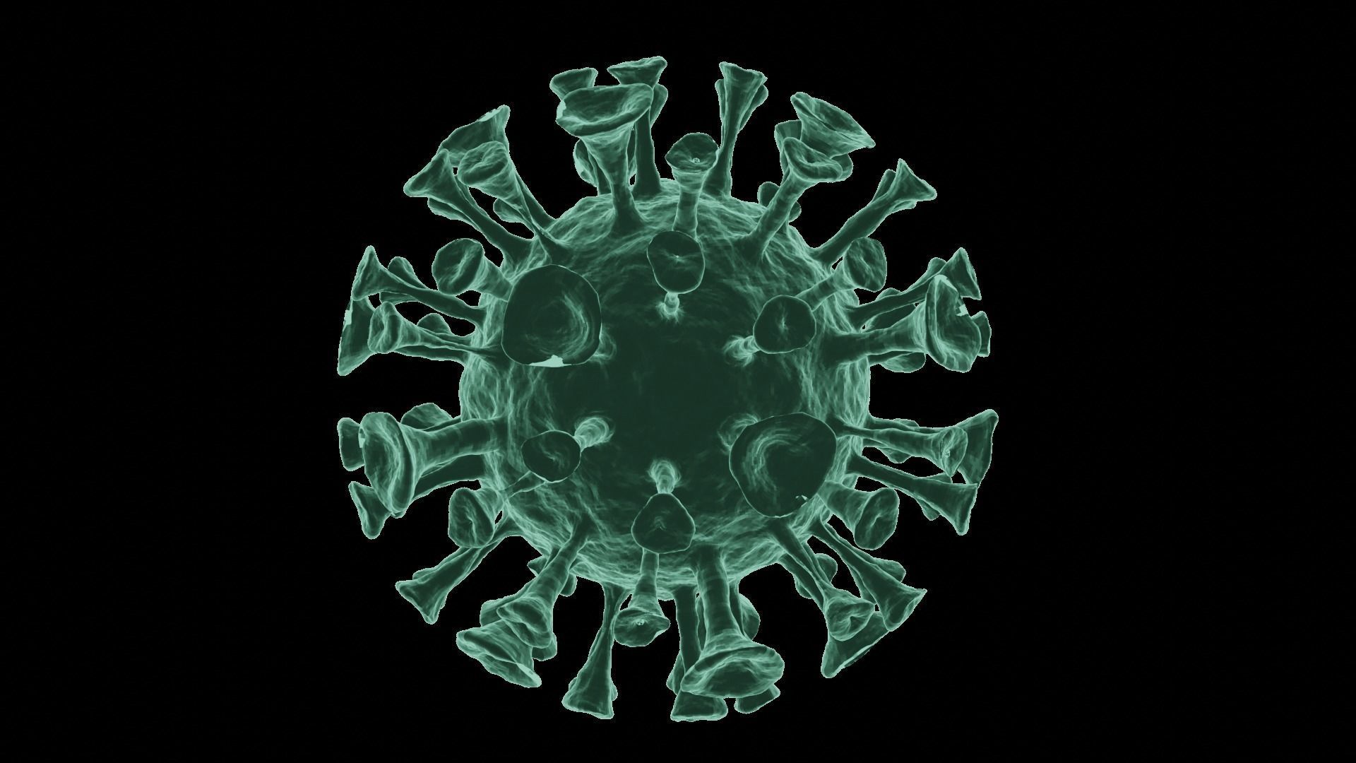 Corona Virus 3d Model 3D model_54