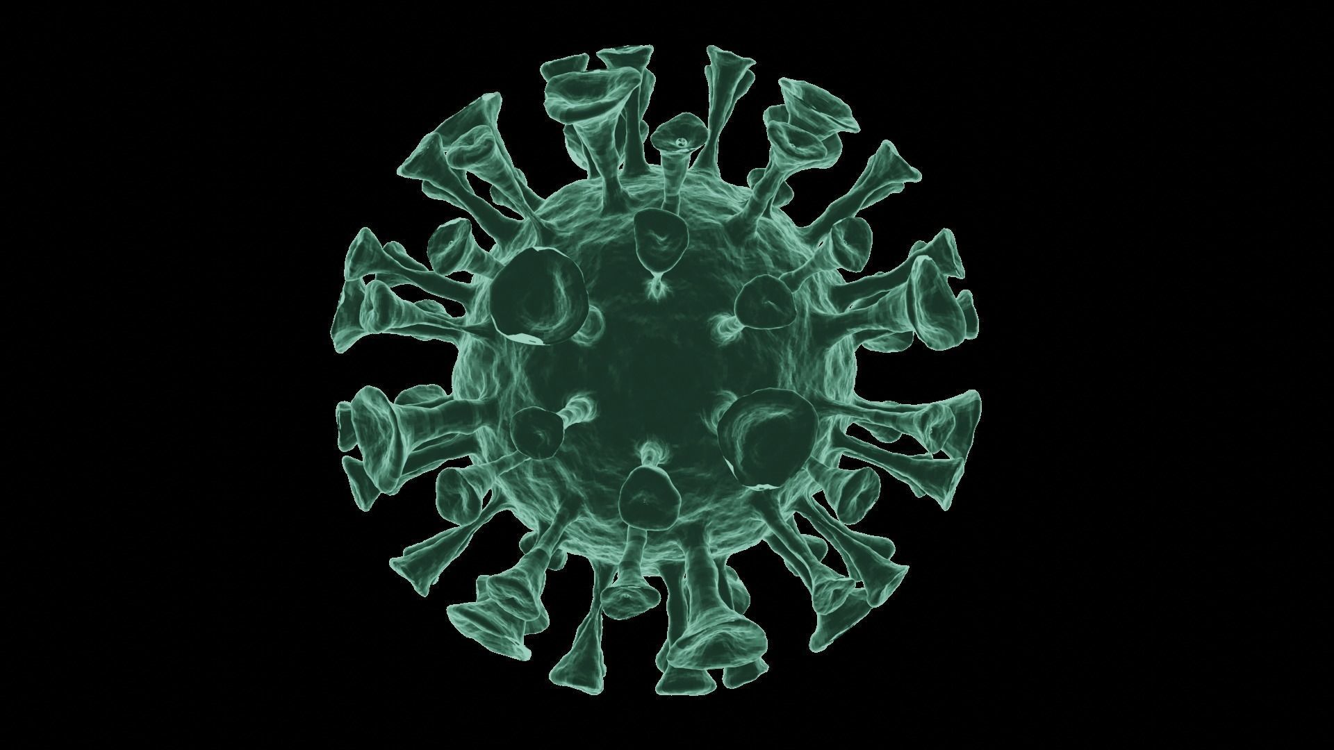 Corona Virus 3d Model 3D model_47