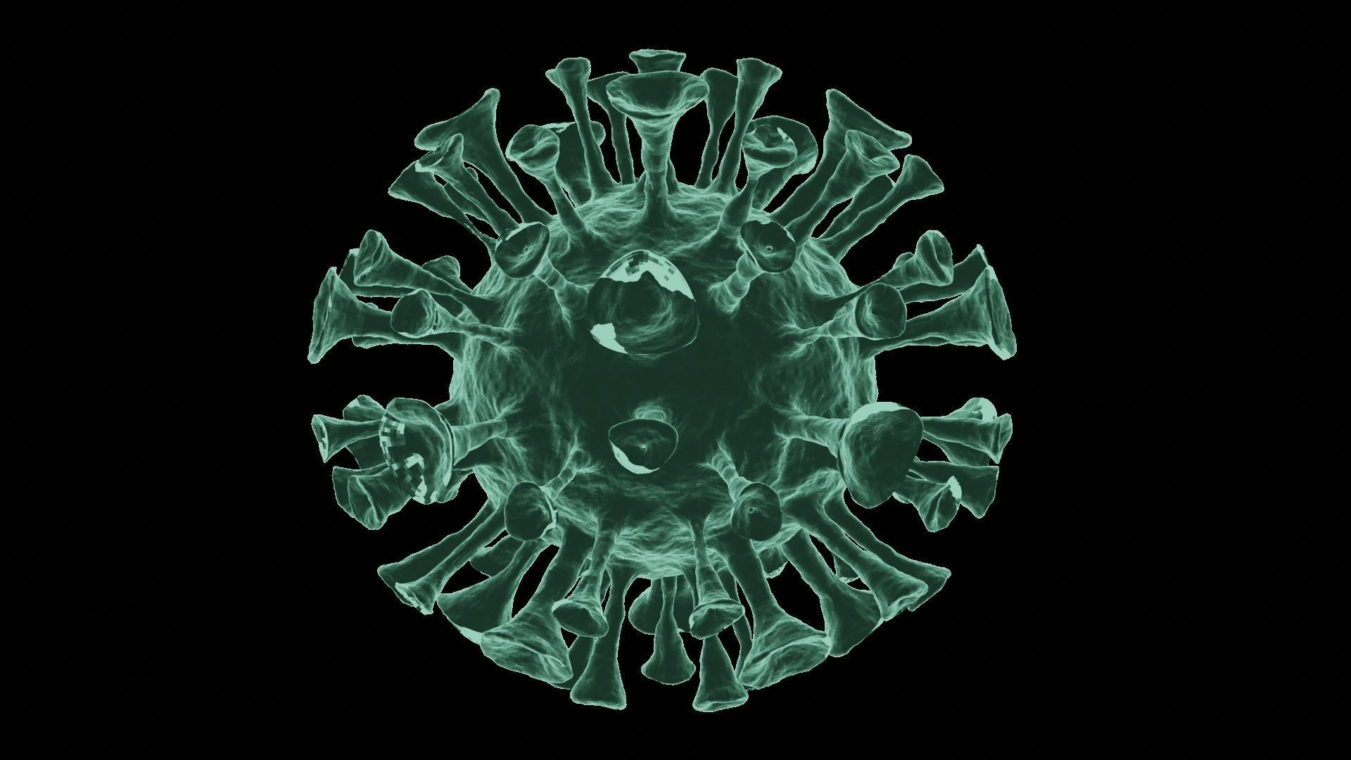 Corona Virus 3d Model 3D model_27