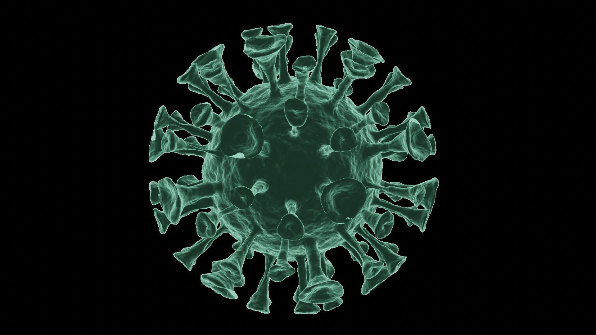 Corona Virus 3d Model 3D model_49