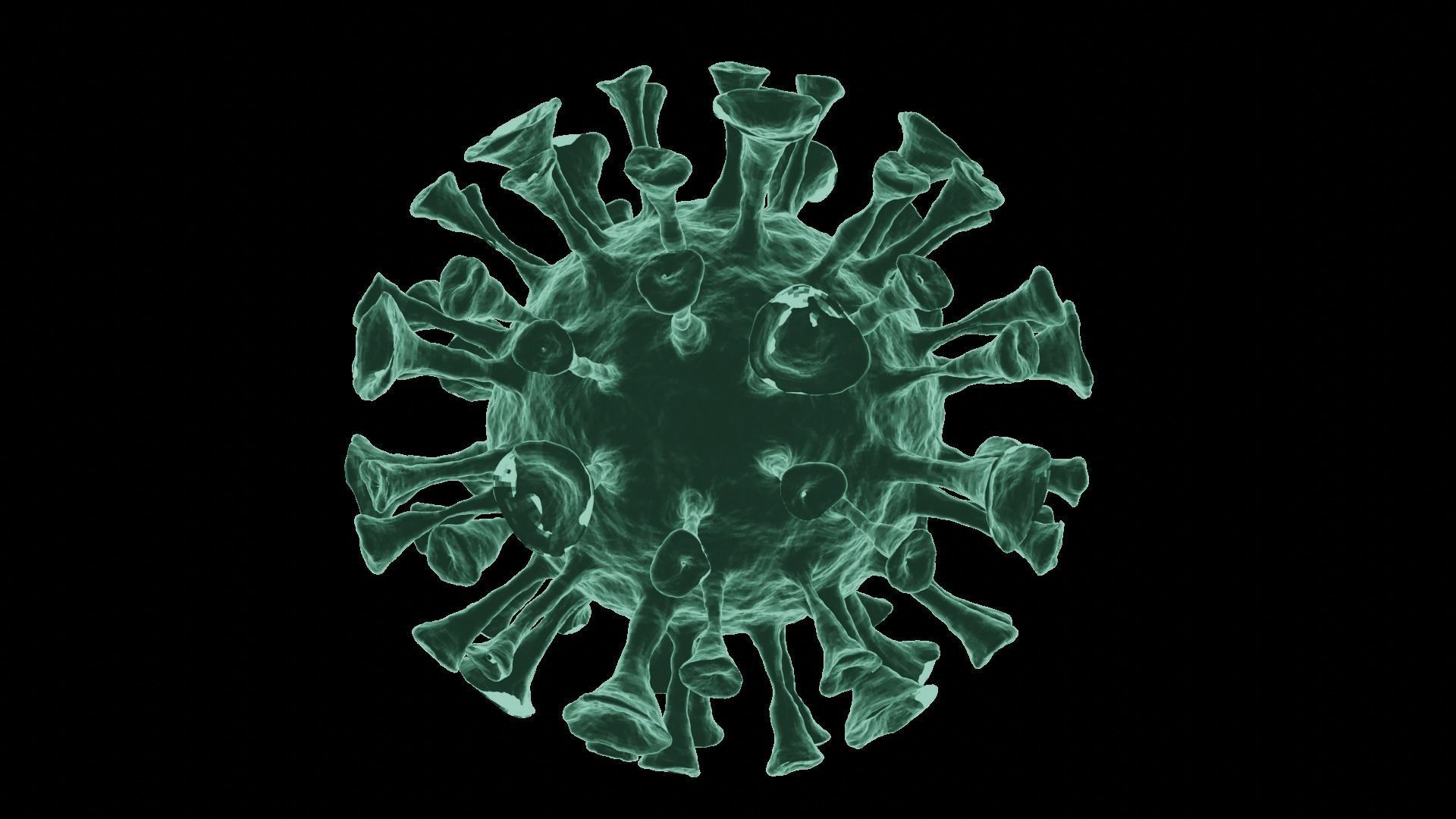 Corona Virus 3d Model 3D model_29