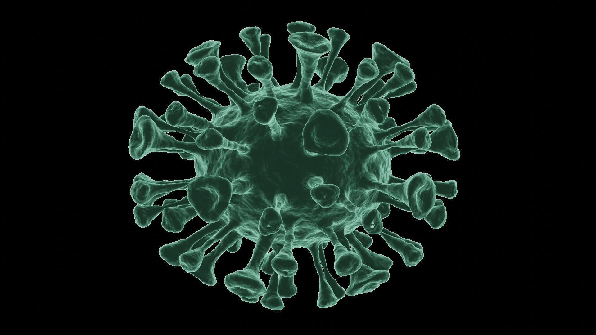 Corona Virus 3d Model 3D model_11