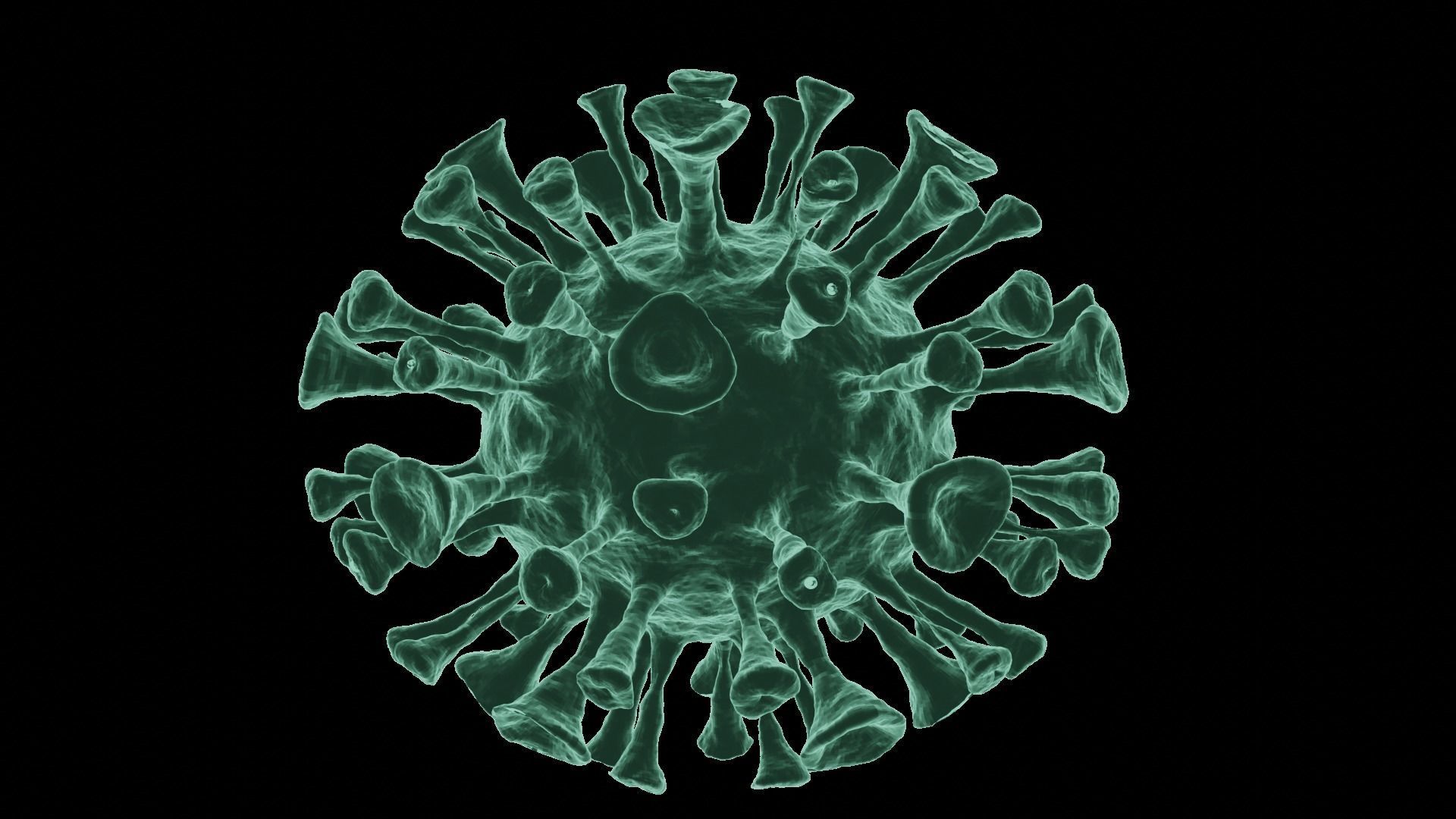 Corona Virus 3d Model 3D model_18