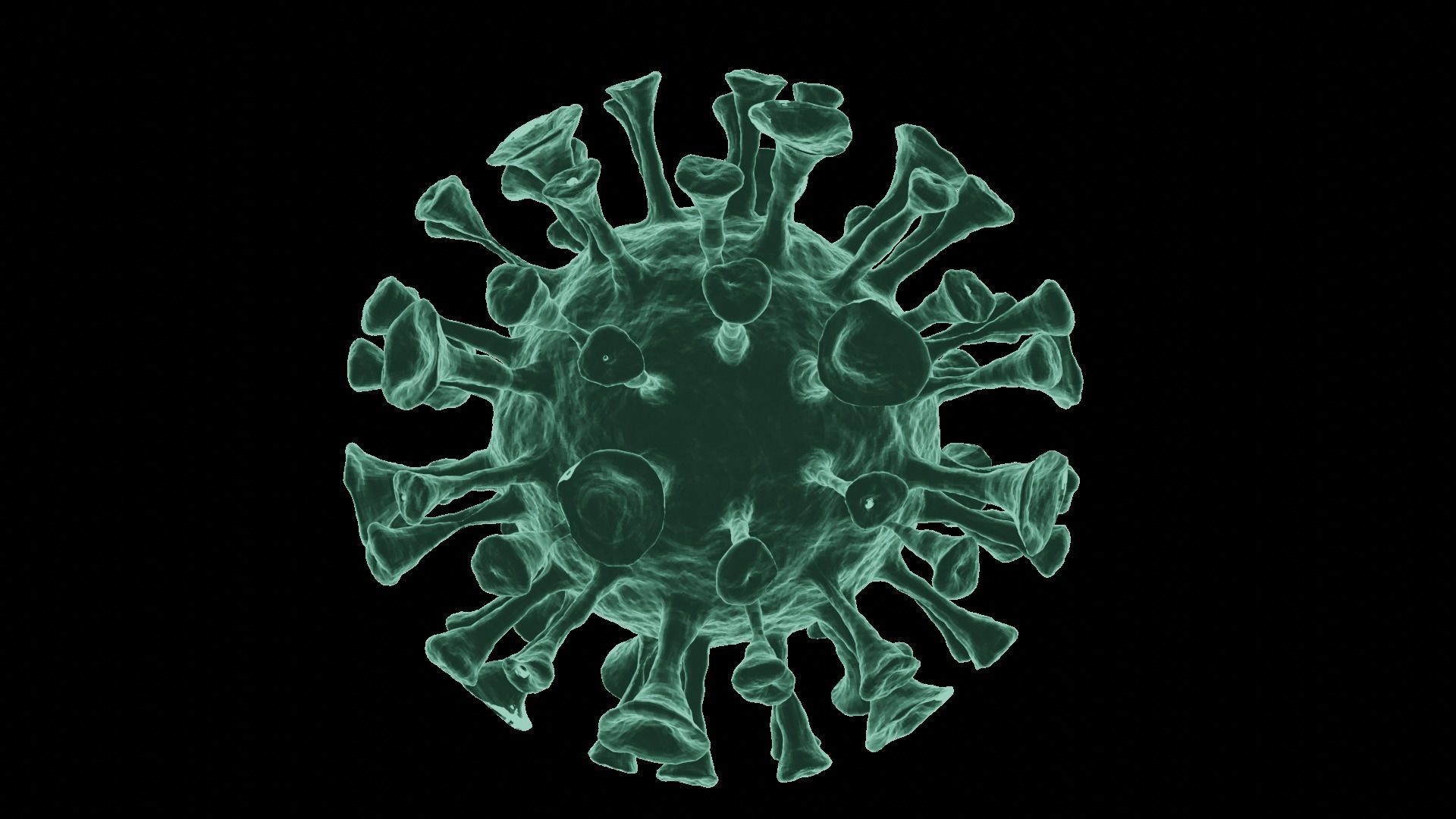 Corona Virus 3d Model 3D model_35