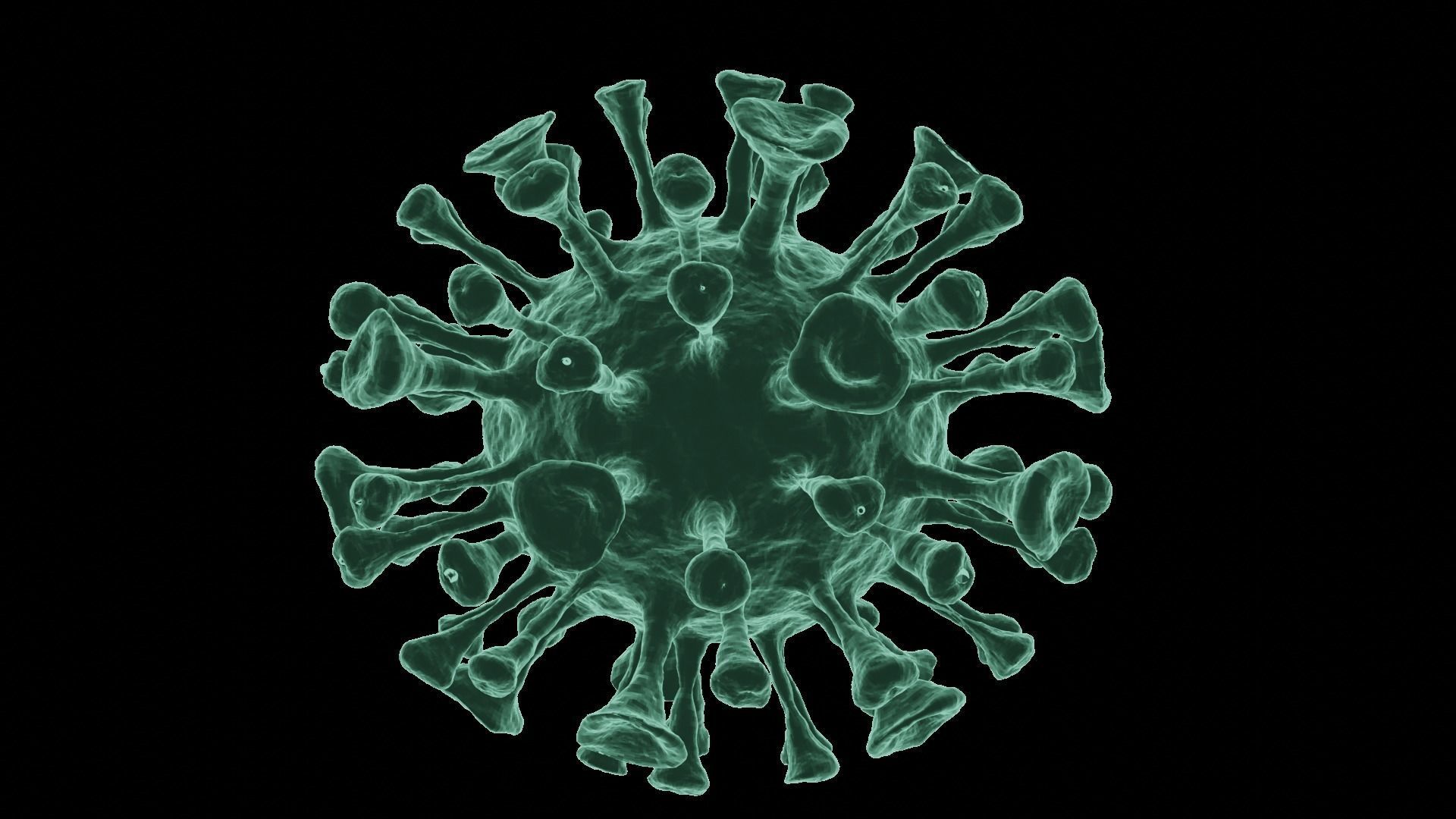 Corona Virus 3d Model 3D model_22