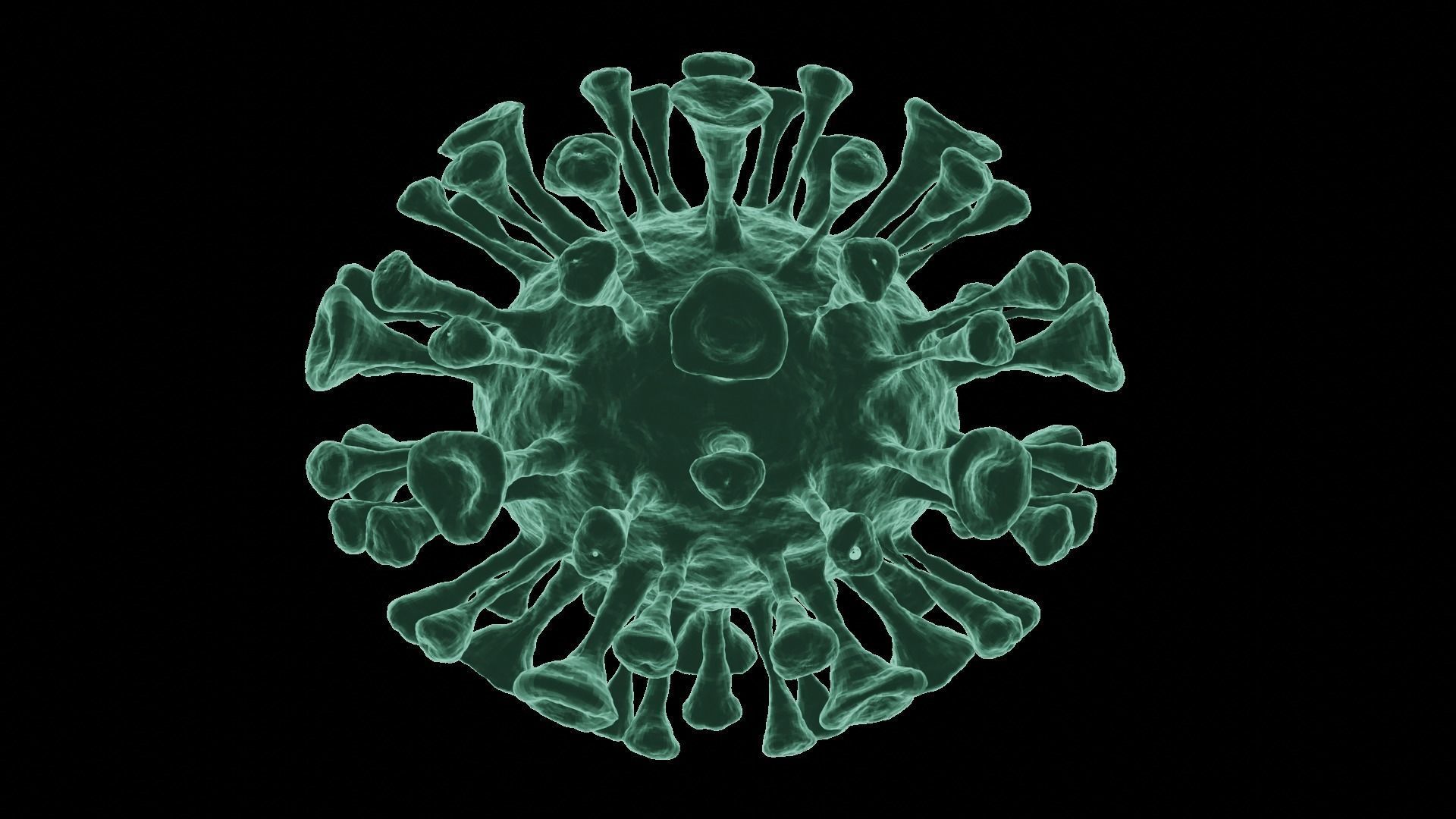 Corona Virus 3d Model 3D model_10