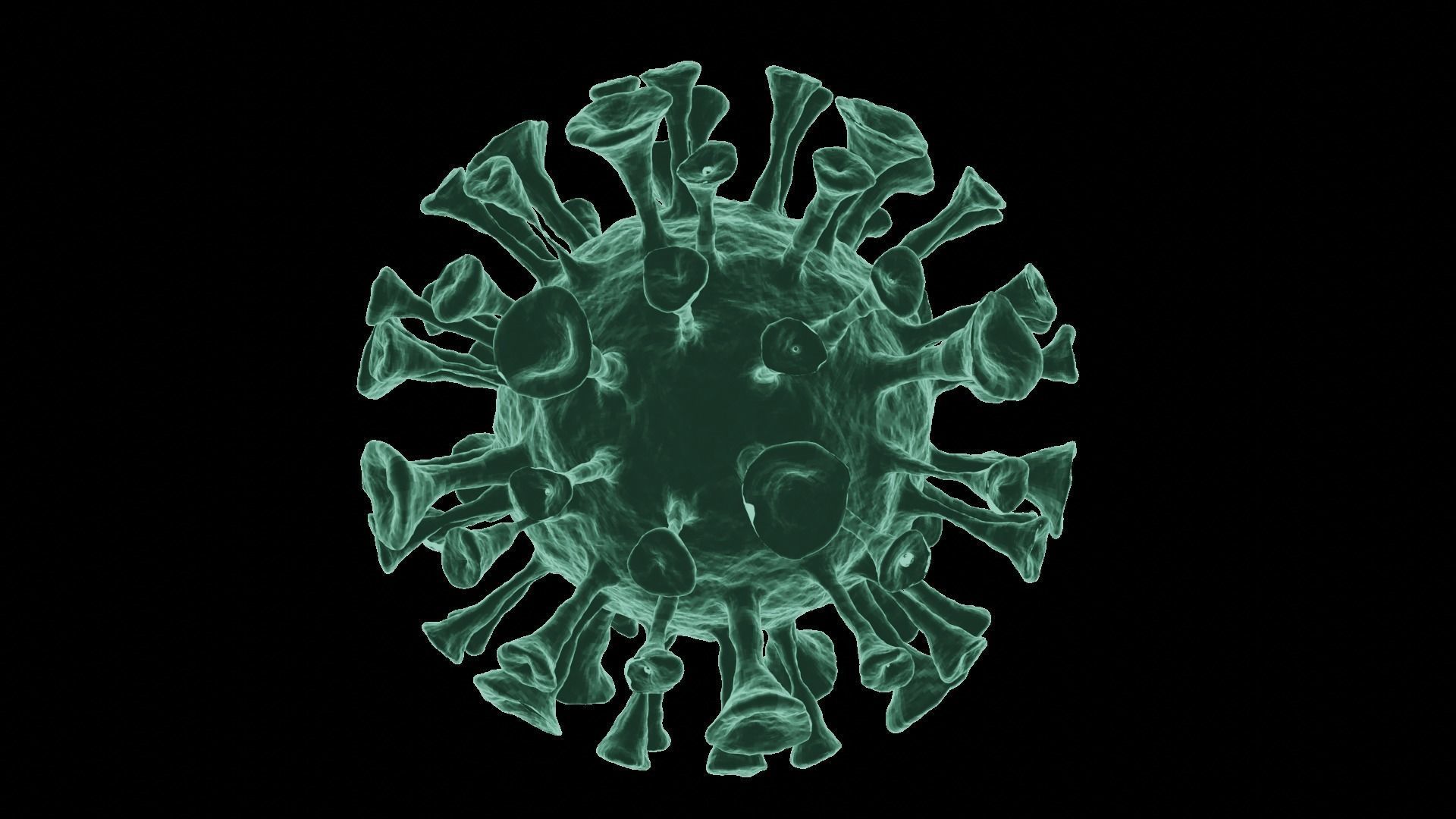Corona Virus 3d Model 3D model_39
