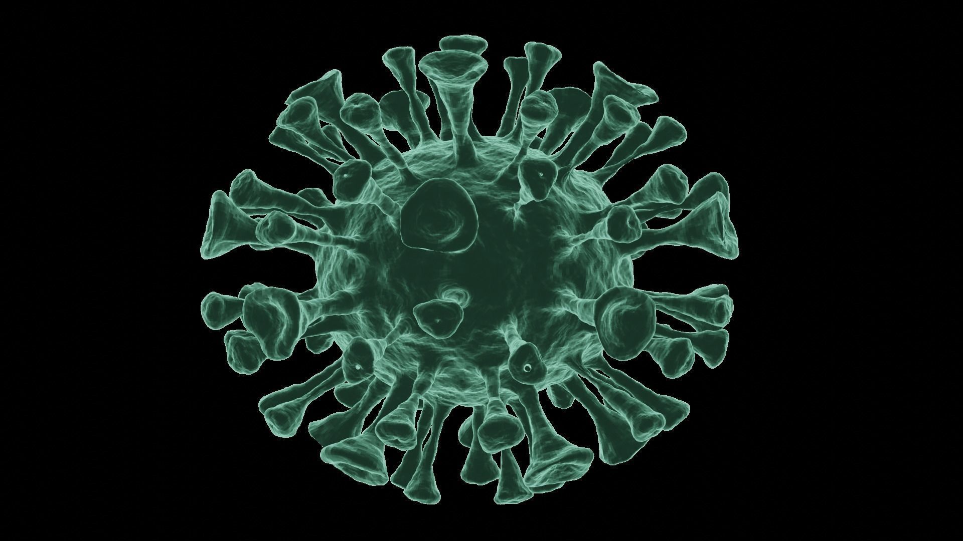 Corona Virus 3d Model 3D model_8