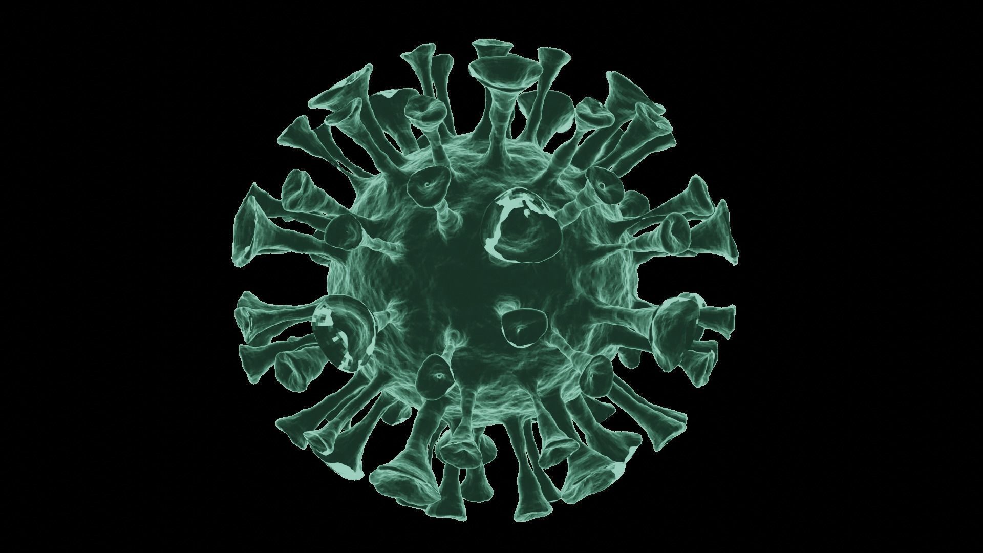 Corona Virus 3d Model 3D model_28