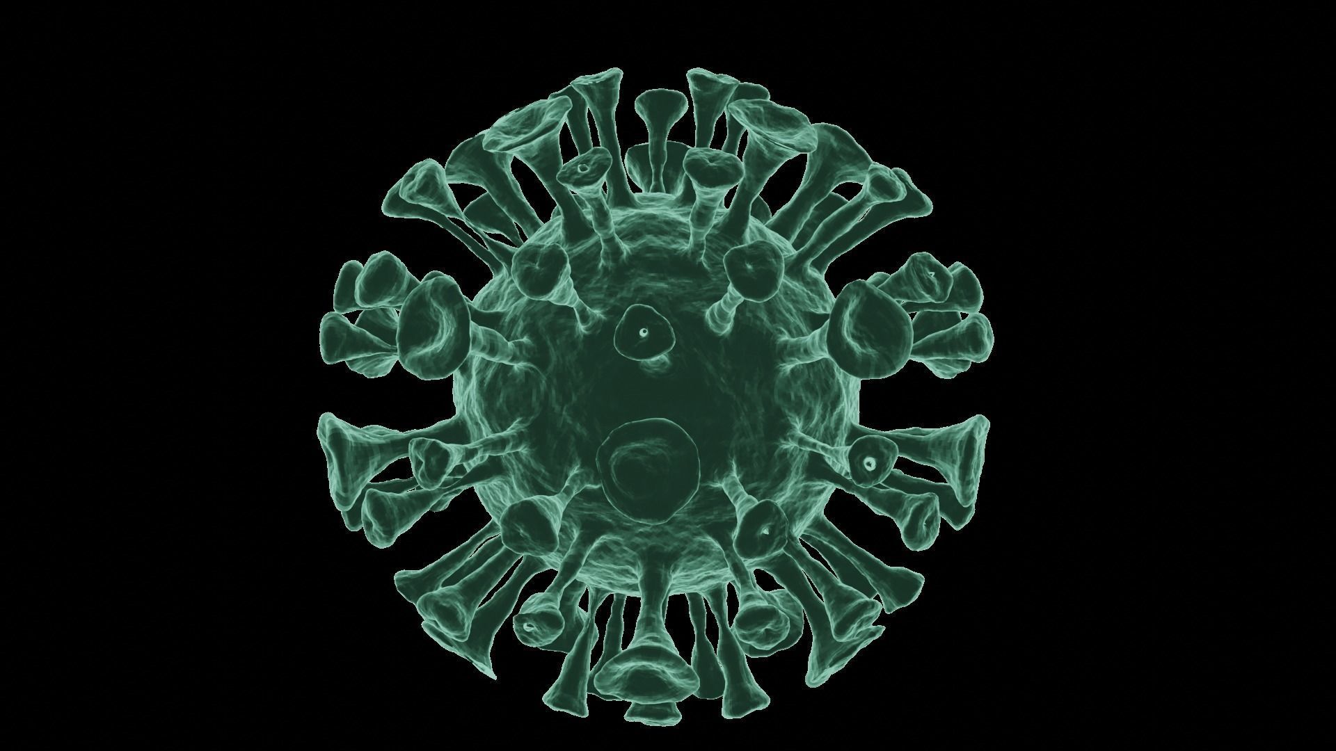 Corona Virus 3d Model 3D model_37