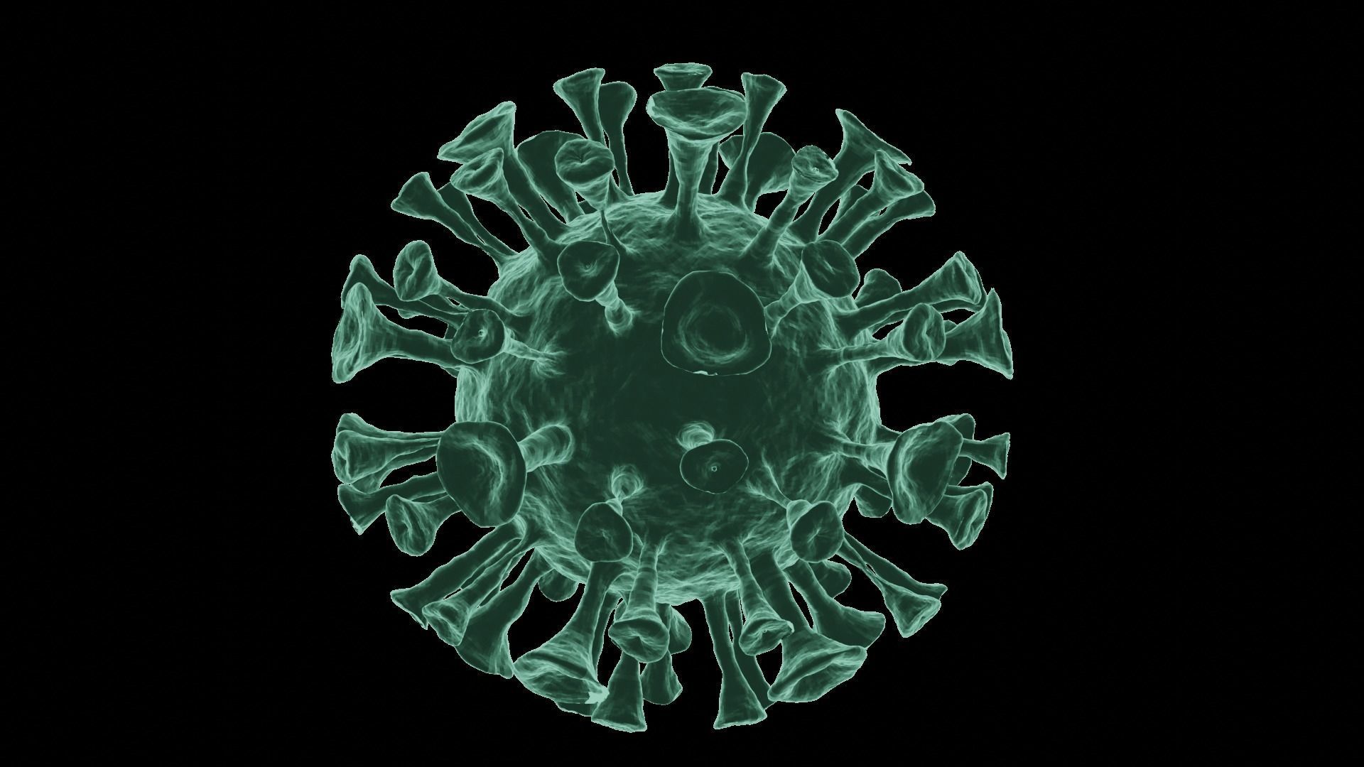 Corona Virus 3d Model 3D model_59
