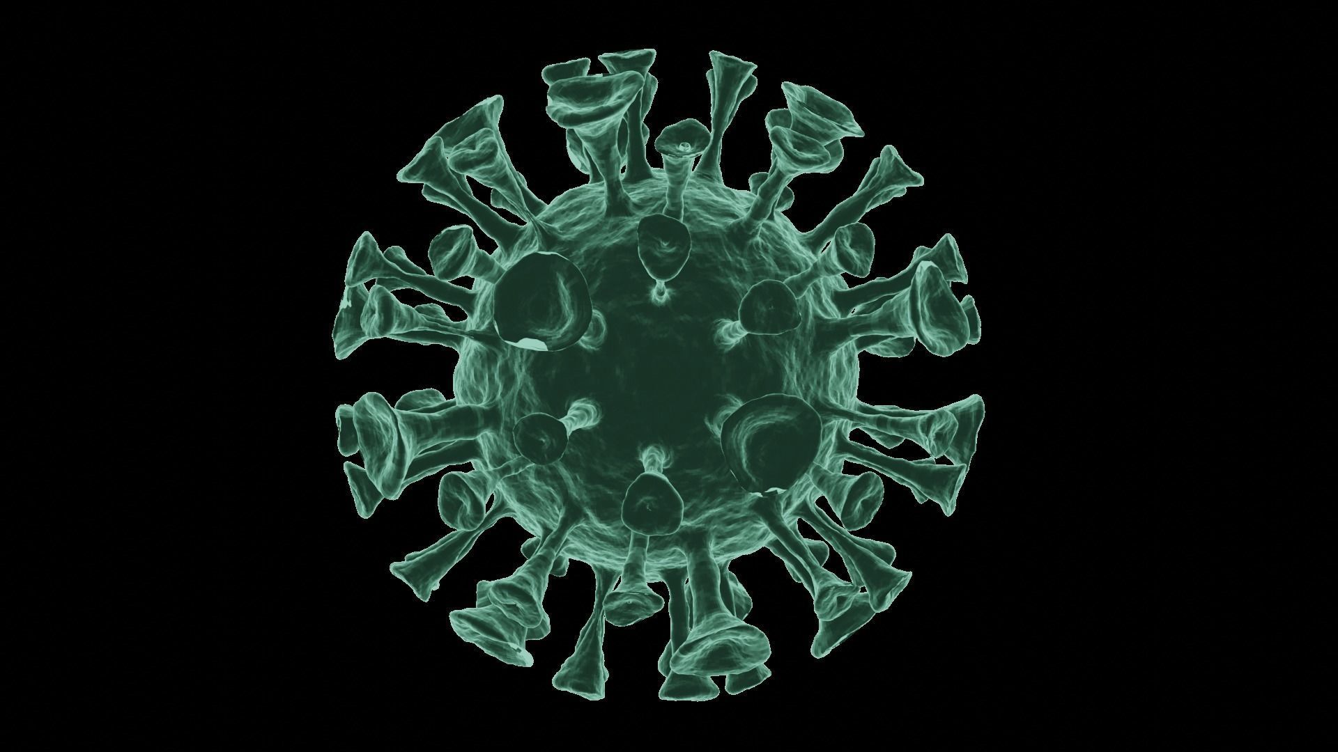 Corona Virus 3d Model 3D model_51