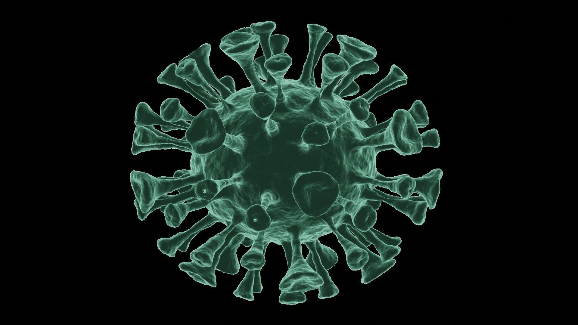 Corona Virus 3d Model 3D model_65