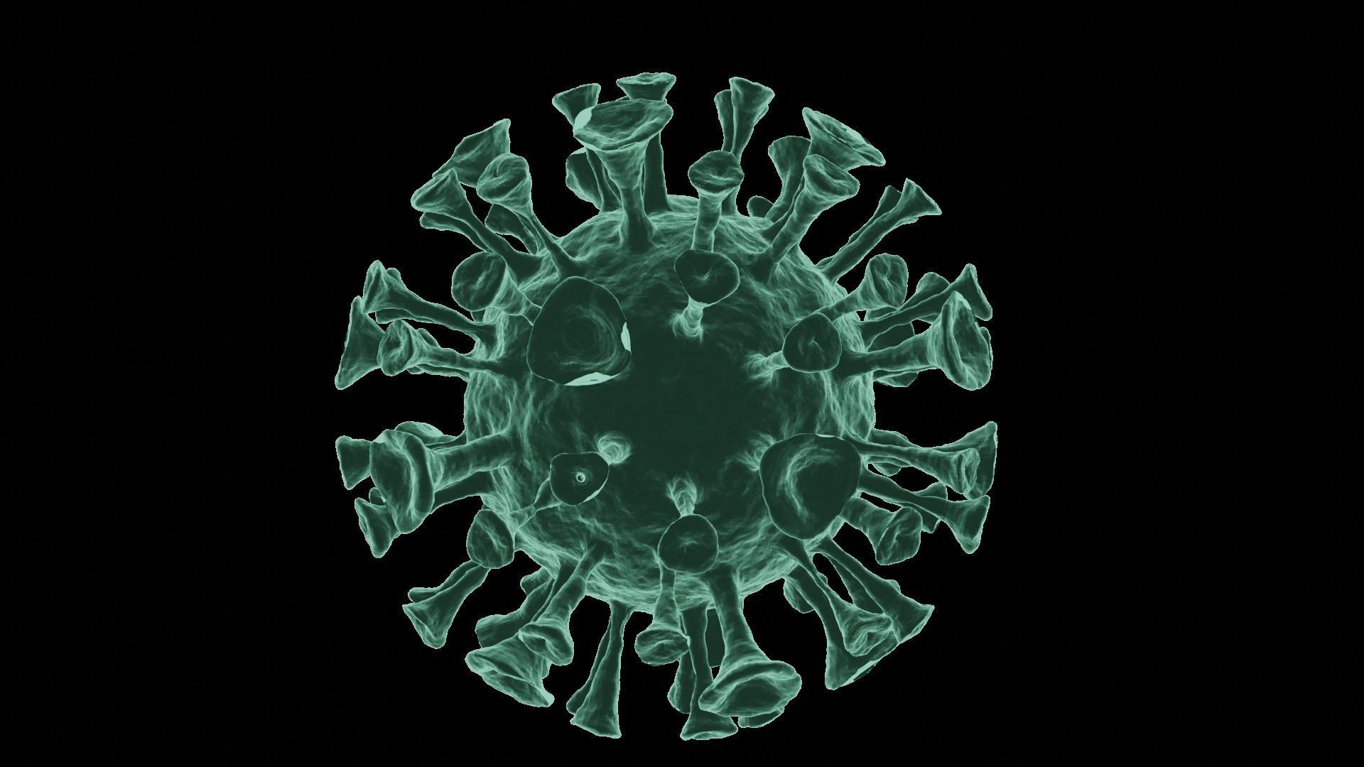 Corona Virus 3d Model 3D model_55