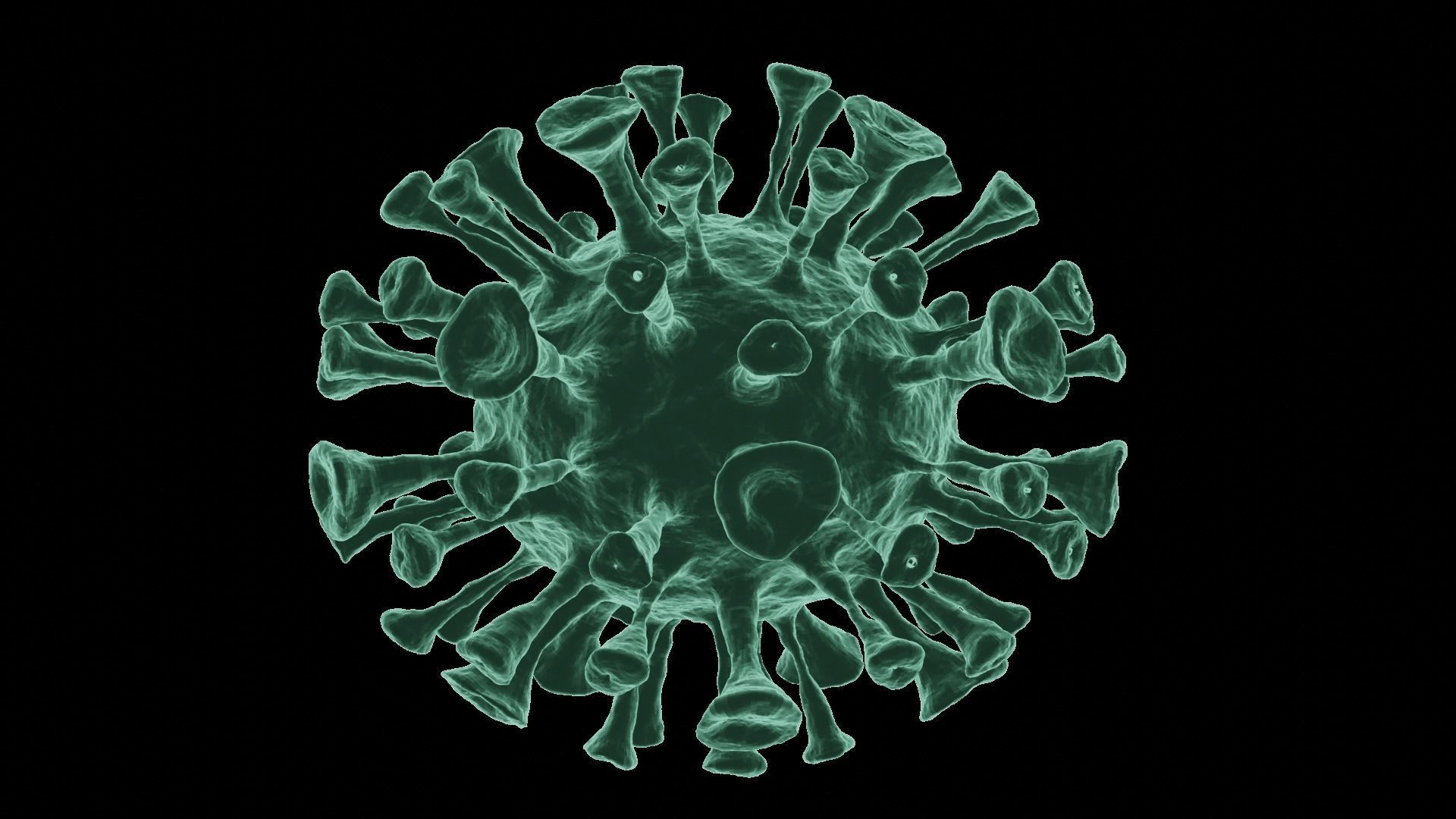 Corona Virus 3d Model 3D model_15