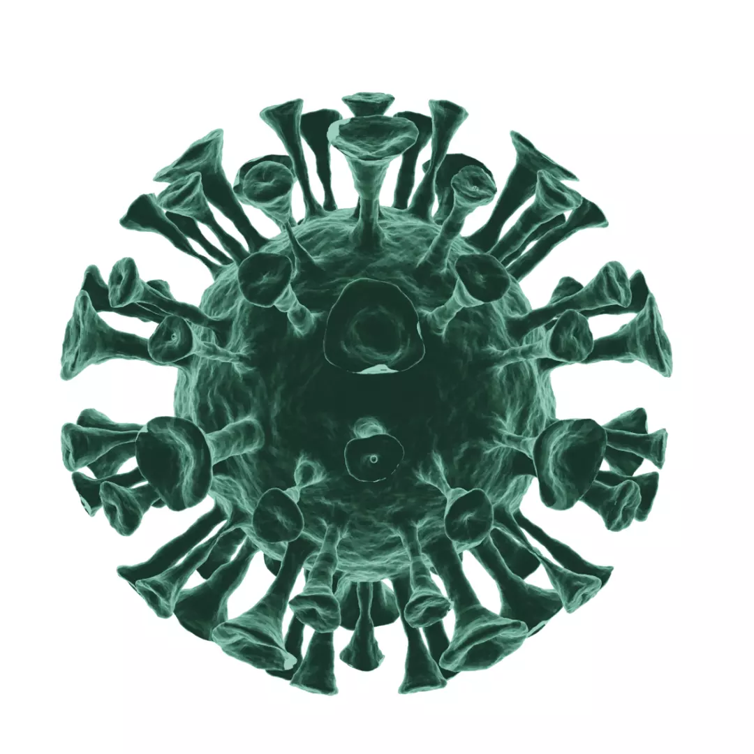 Corona Virus 3d Model 3D model_0